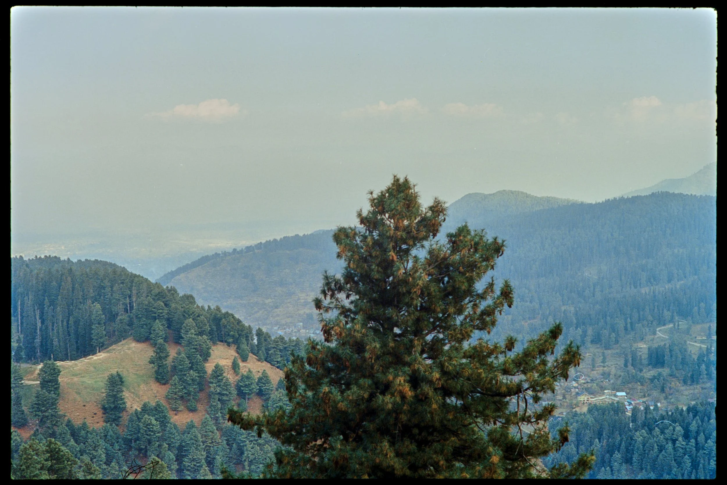 Pro Scans Aug 43288-positive.jpg