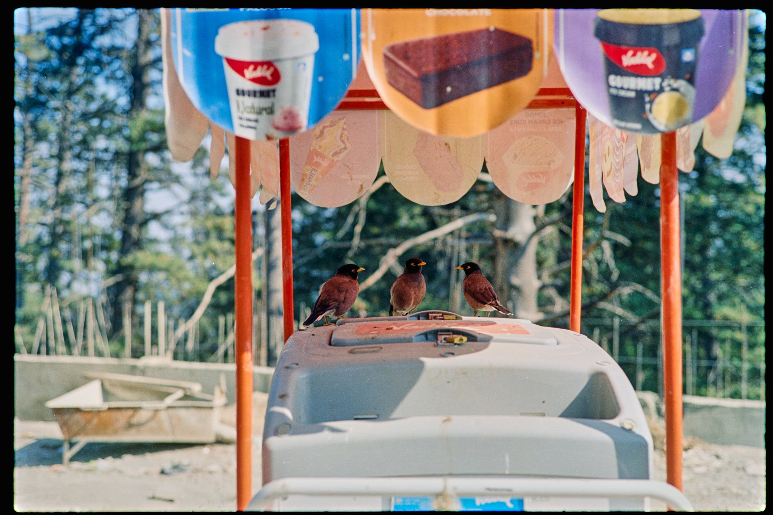 Pro Scans Aug 43264-positive.jpg