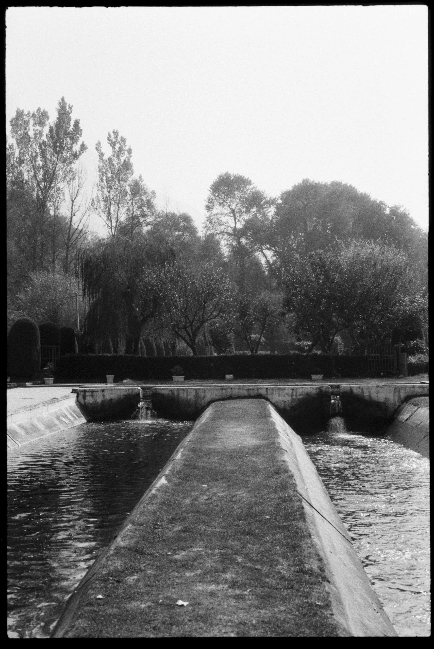 Pro Scans Aug 43165.jpg