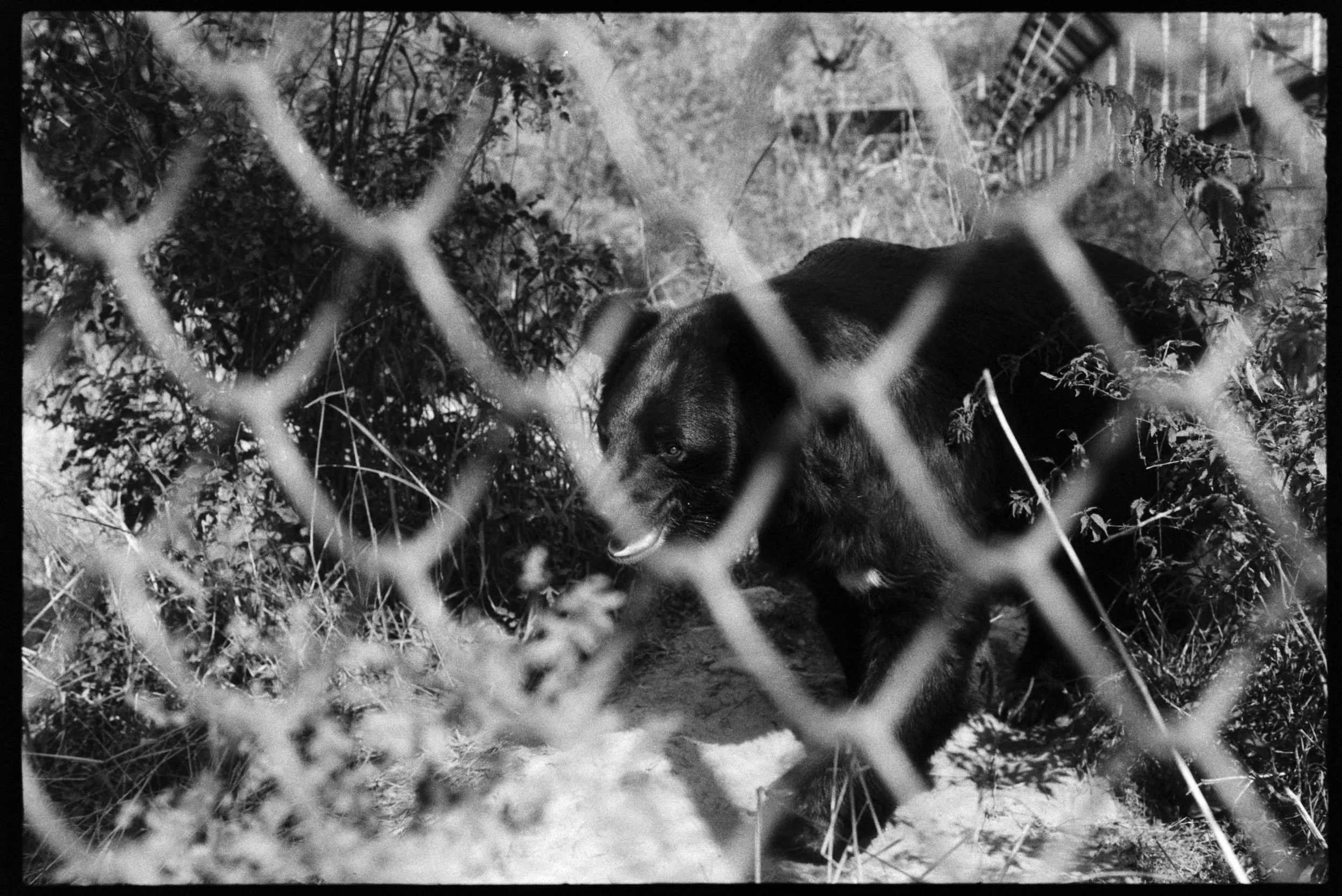 Pro Scans Aug 43174.jpg