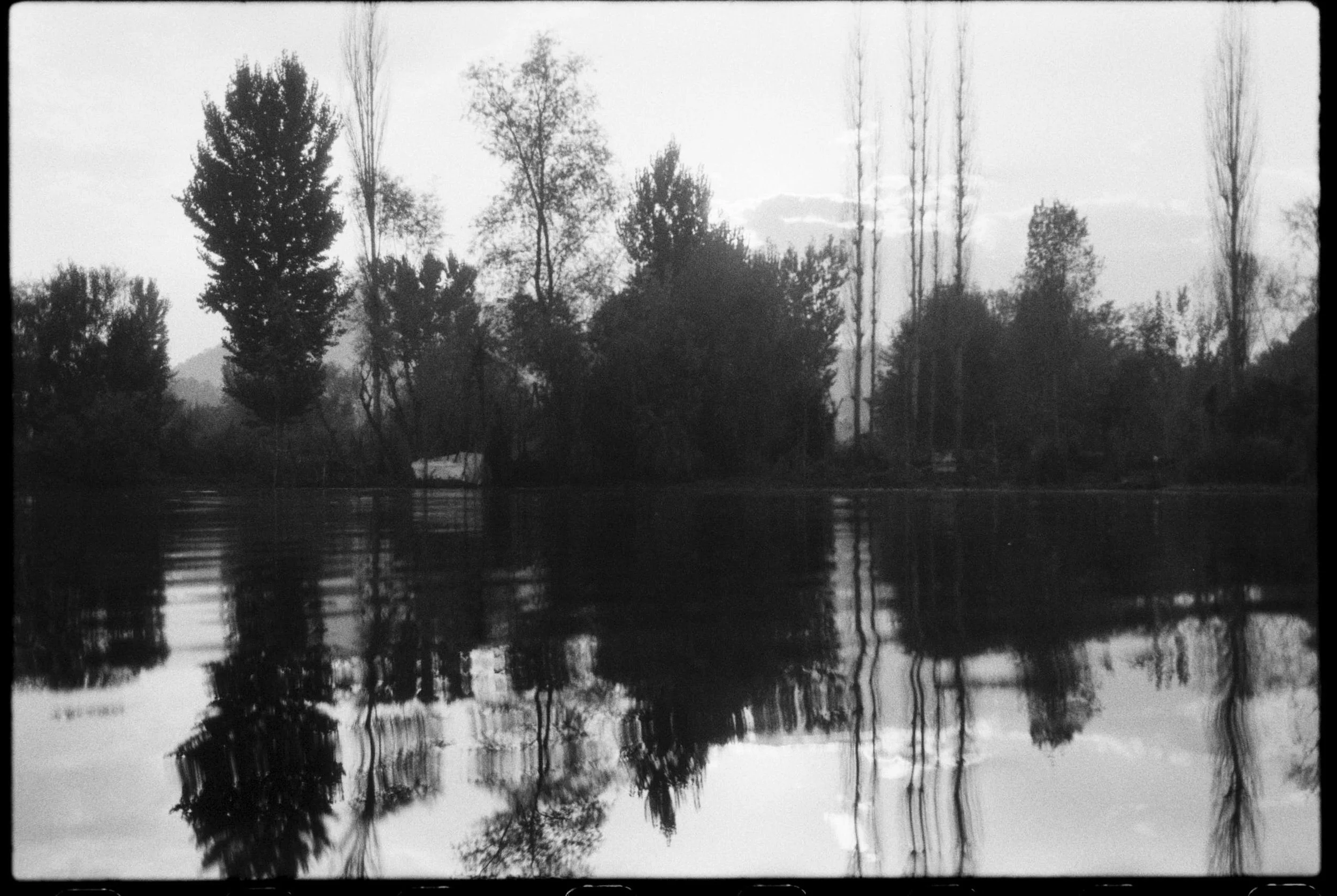 Pro Scans Aug 43195.jpg