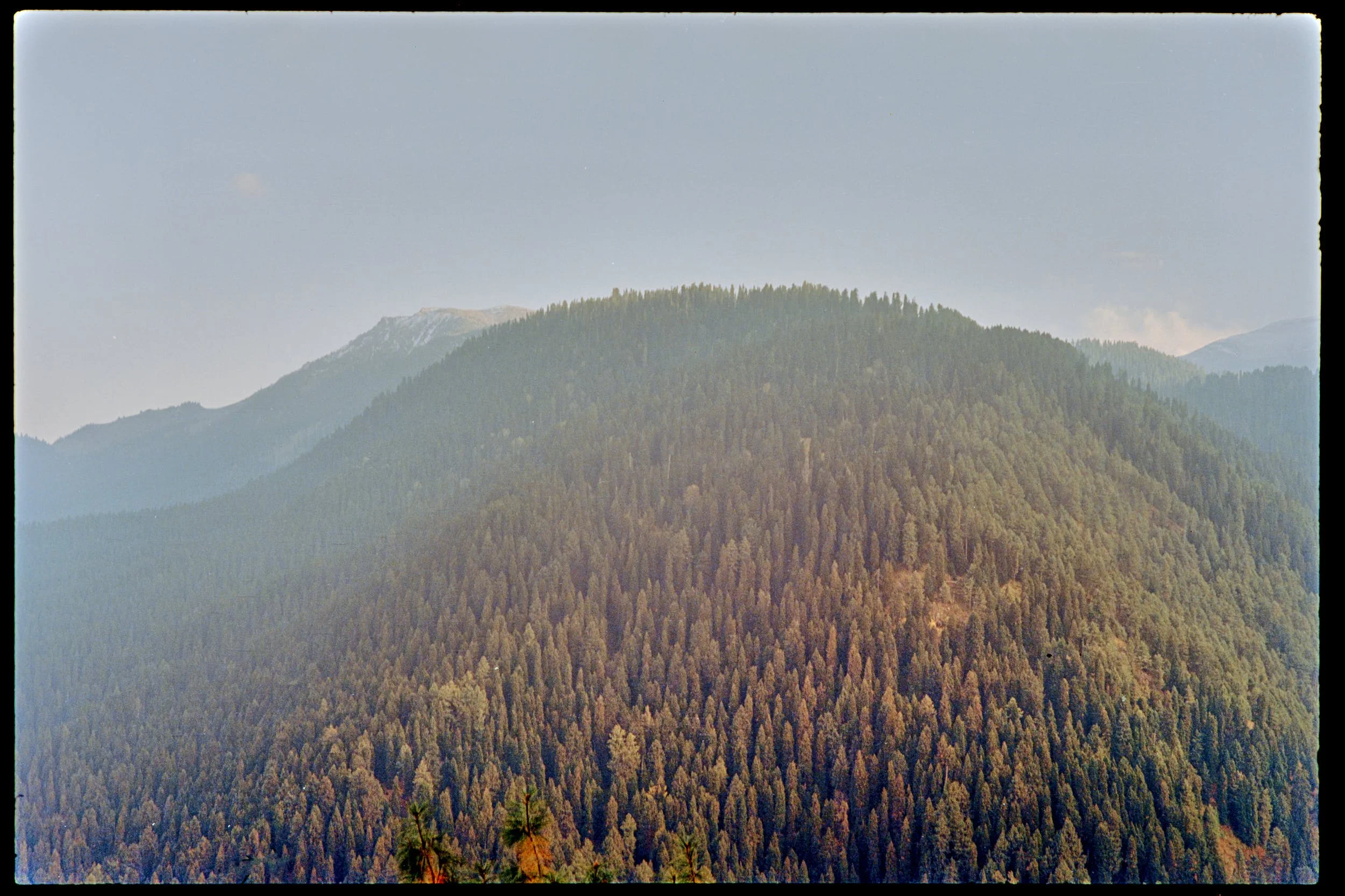 Pro Scans Aug 43291-positive.jpg