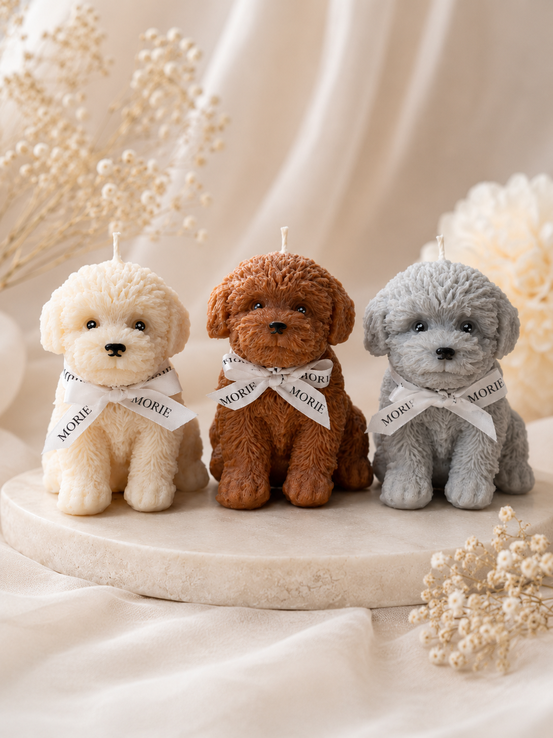 Cavoodle | Pillar