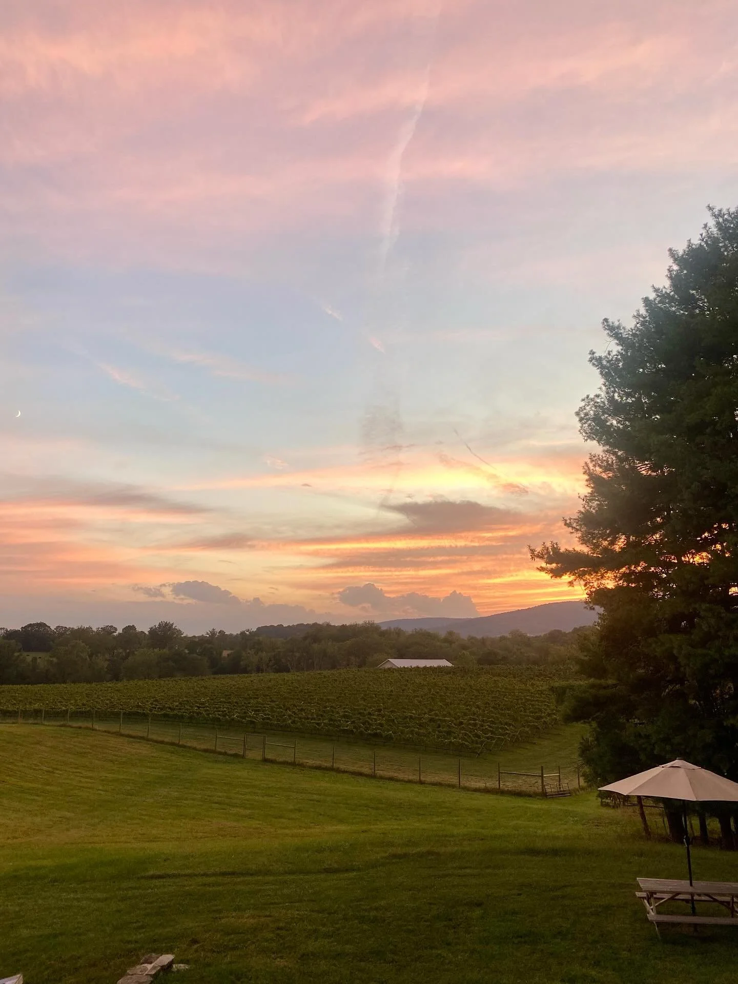 The sunset glow over the vineyard never gets old. 🌞🍷 The deck at golden hour? It&rsquo;s the best seat in the house.