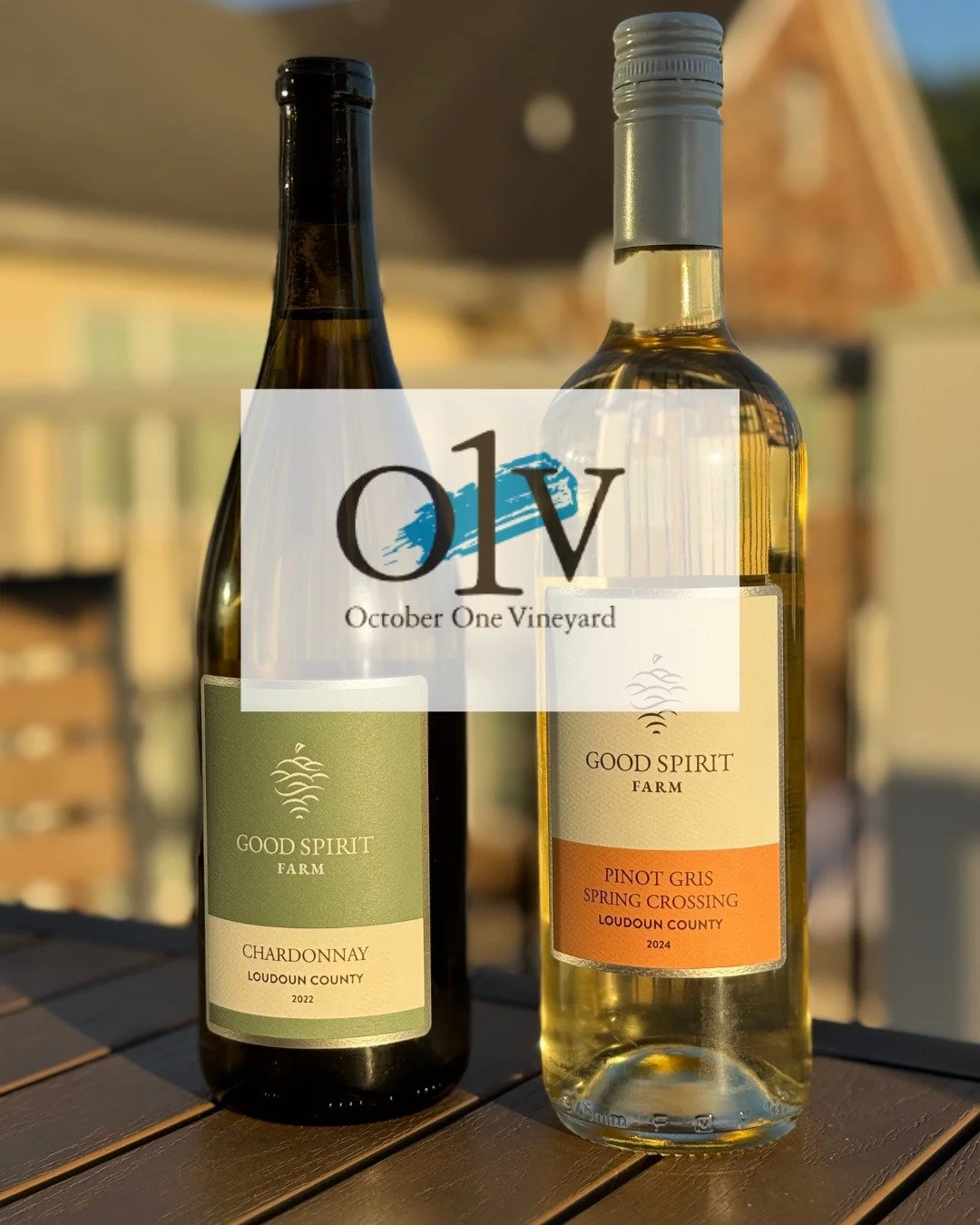 We&rsquo;re thrilled to have our 2022 Chardonnay and 2024 Pinot Gris featured at October One Vineyard&rsquo;s Wine Tasting Shop this month! 🍷 If you&rsquo;re in Downtown Leesburg, be sure to stop by&mdash;October One is a must-visit, especially duri
