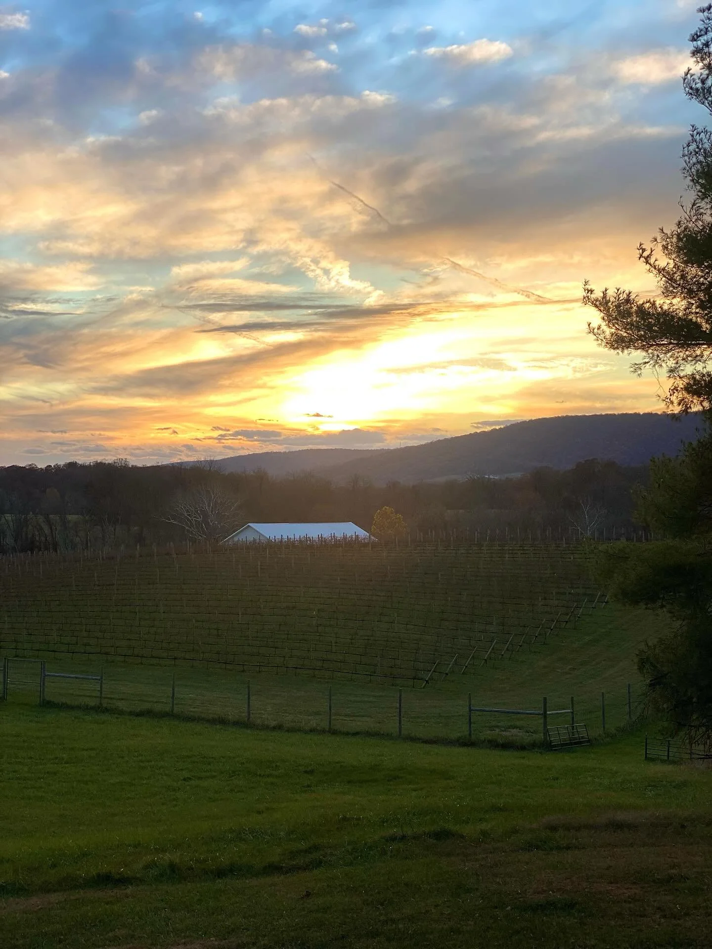 Earlier sunsets, same unforgettable views 🍷