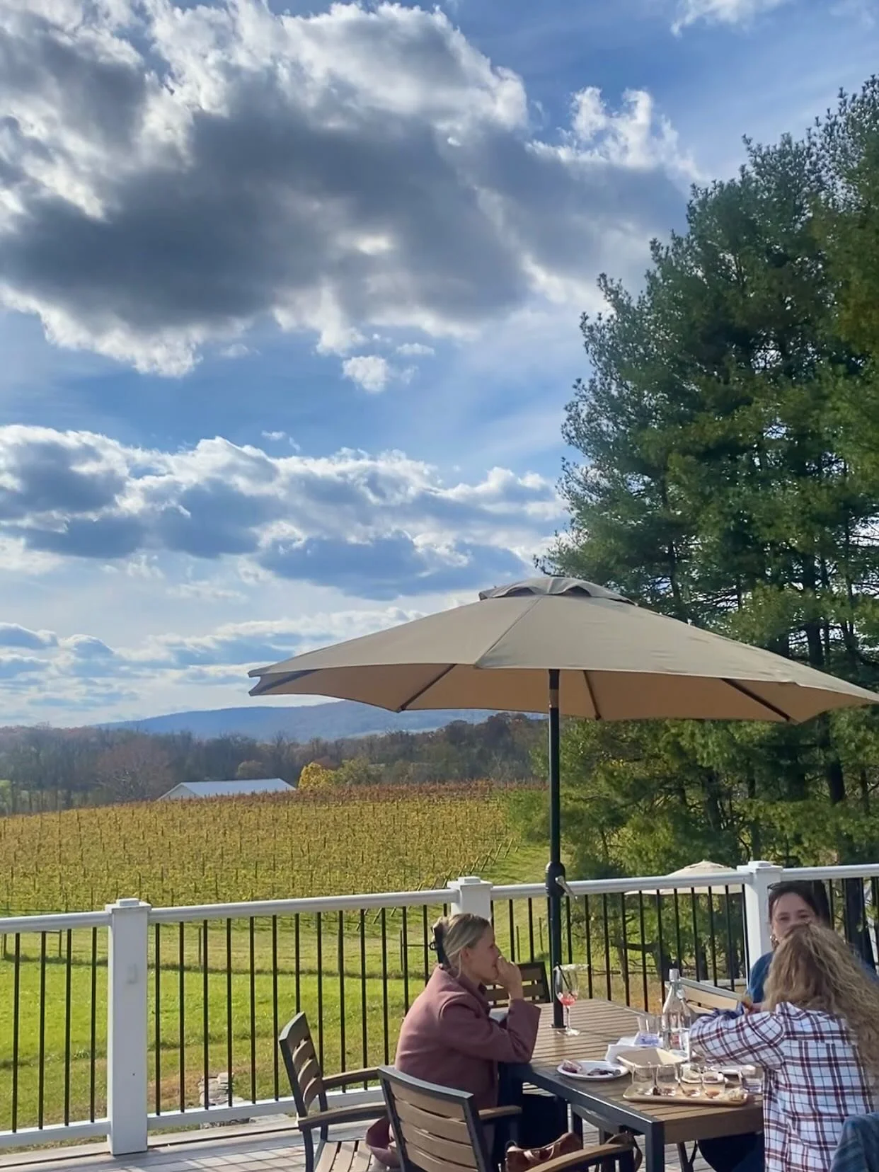 This is what fall looks like at Good Spirit Farm 🍂🍷✨