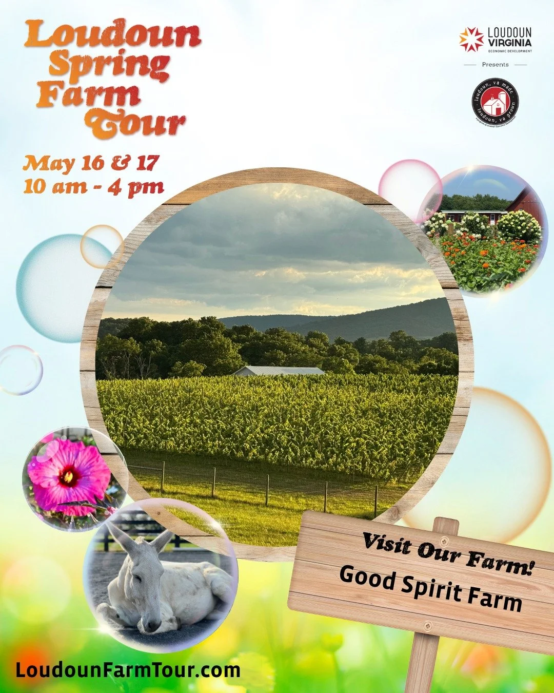 We&rsquo;re excited to be part of this year&rsquo;s Loudoun County Spring Farm Tour! 🌸 Join us May 16 &amp; 17 to enjoy budding vines, blooming gardens, and beautiful mountain views along our vineyard loop. Grab a glass of wine and take home some fl