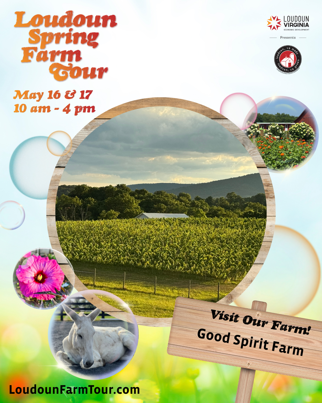 Loudoun Spring Farm Tour