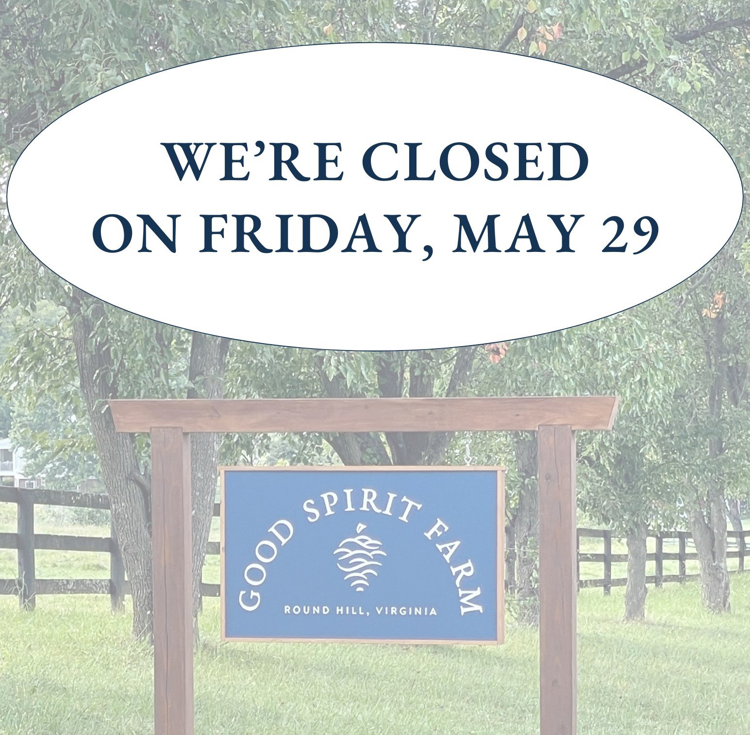 We are closed this Friday, May 29, and open regular hours on Saturday, May 30 (noon to 6:00) and Sunday, May 31 (1pm to 6pm).