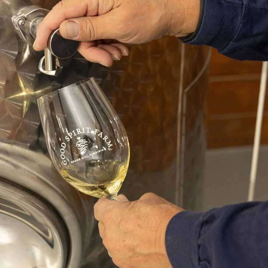 Hand holding a wine glass