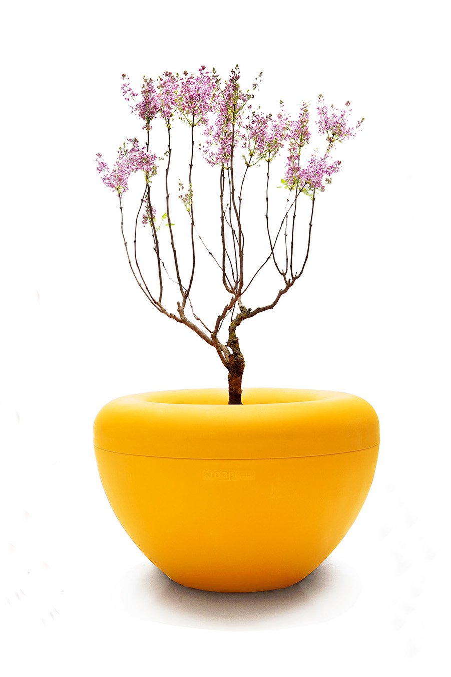 Scoop Planter