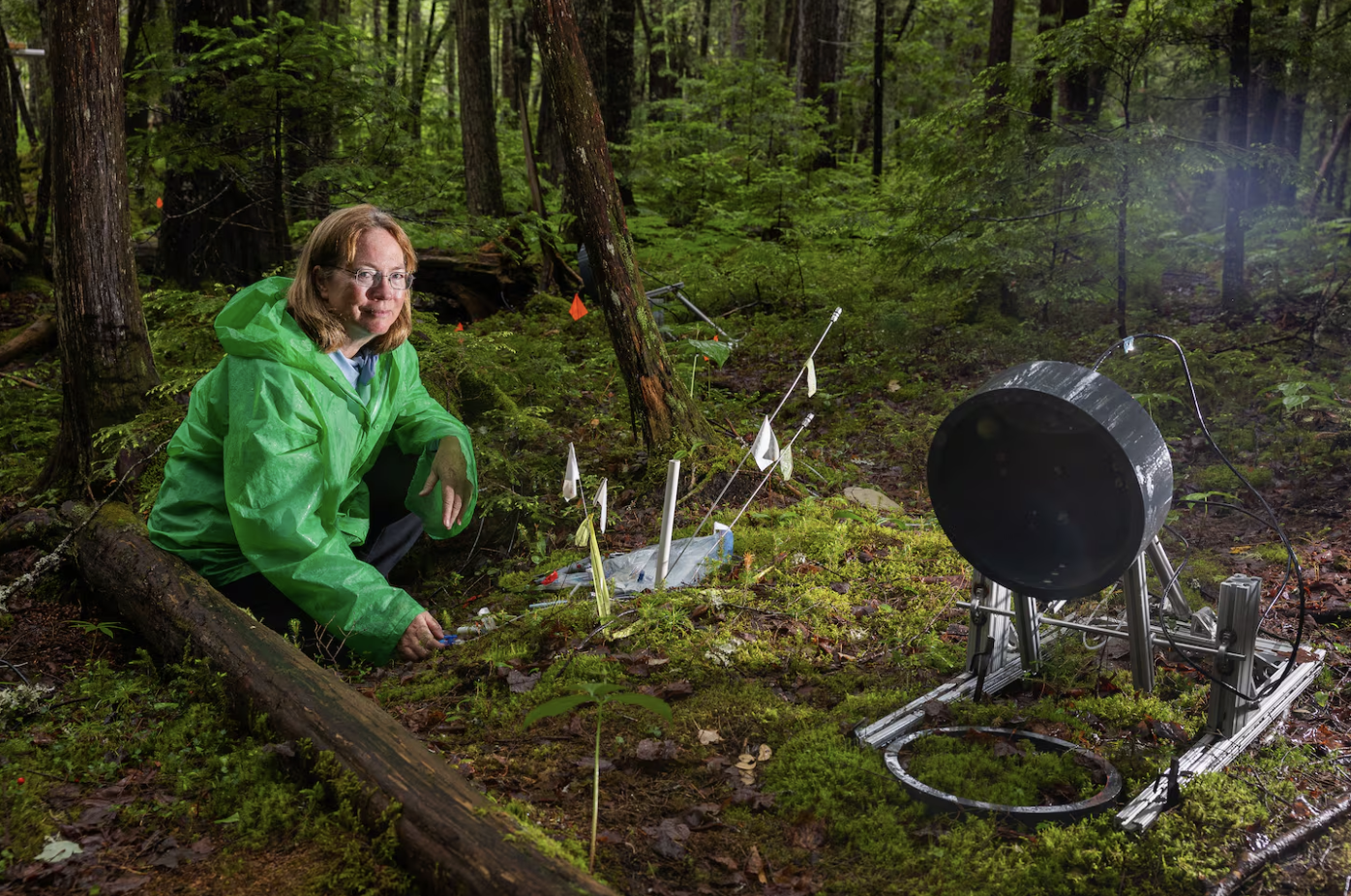 Kathleen Savage, a senior research scientist with Woodwell Climate Research Center, sat next to data collection experiments in the Howland Research Forest in Edinburg, Maine on June 15. Savage’s research is working to better understand the microbes t