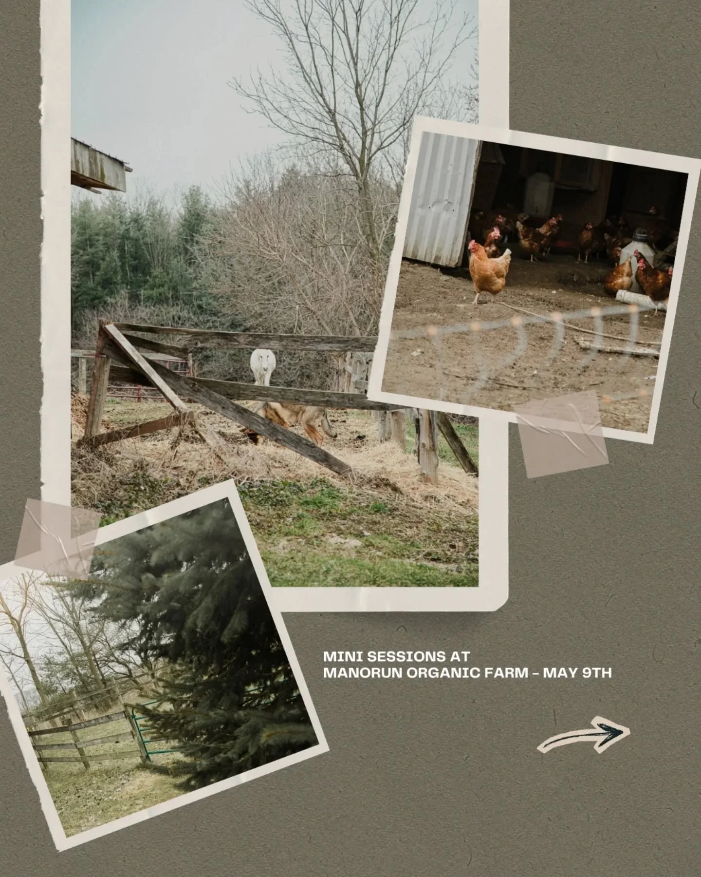 Mother's Day is right around the corner and what better way to celebrate than a day out at a spring market! 

Join me and other awesome vendors at @manorunorganicfarm for a beautiful Mothers Day market and Seedling Sale. 

Spots are available for my 