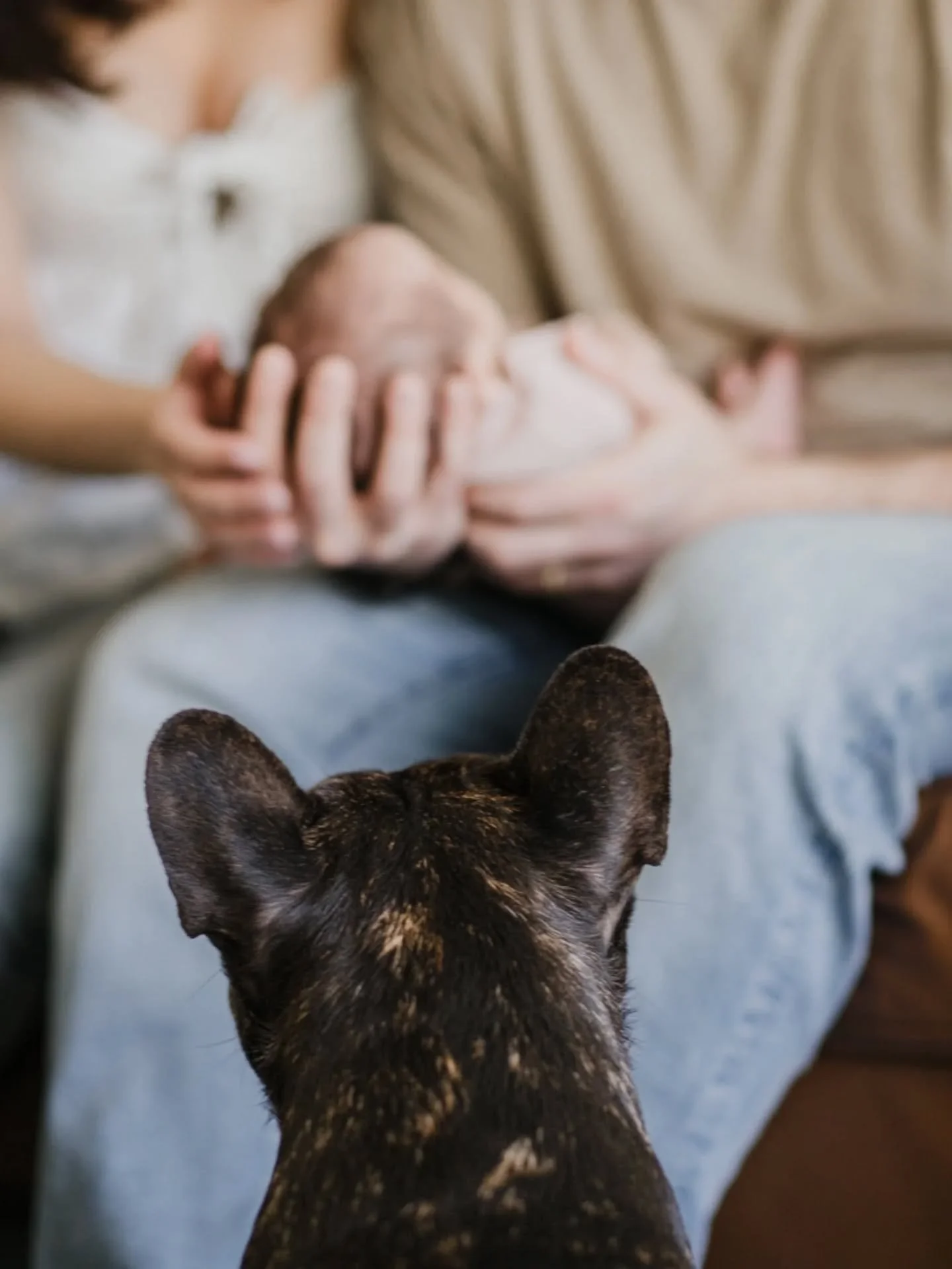 You don't have to ask - yes your dog can be in the photos with you. 

They are part of the family and often, the baby before the baby. Don't worry if they don't cooperate at first either, they're welcoming a stranger into their home that has a weird 