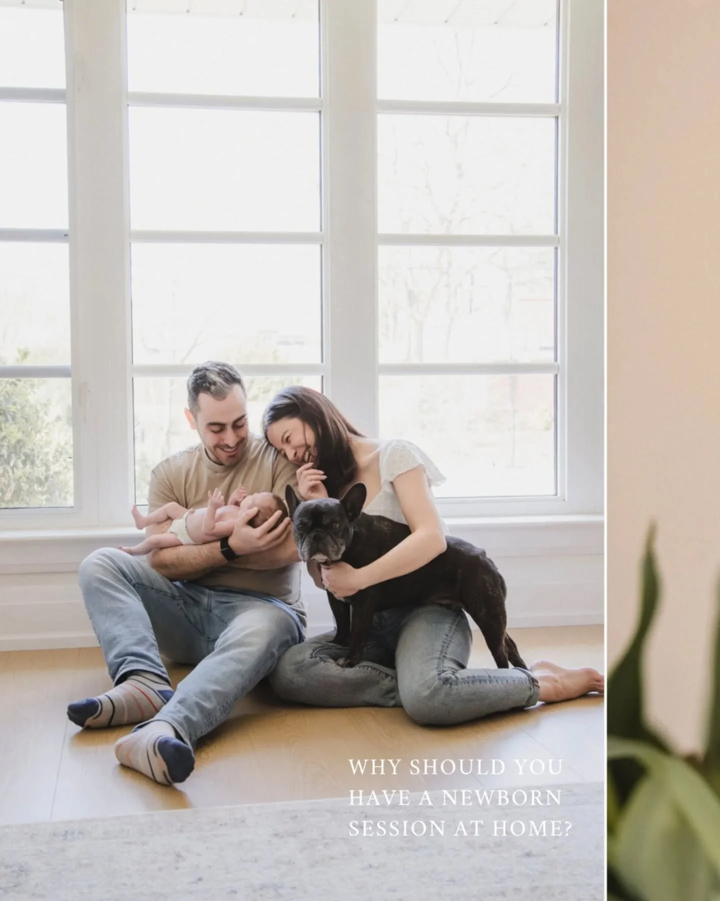 Just a few reasons to choose a newborn session in the comfort of your own home.

Why leave your newborn bubble when you can invite me (someone with a sense of humour and totally understands postpartum!) into your space to chat, connect and capture yo