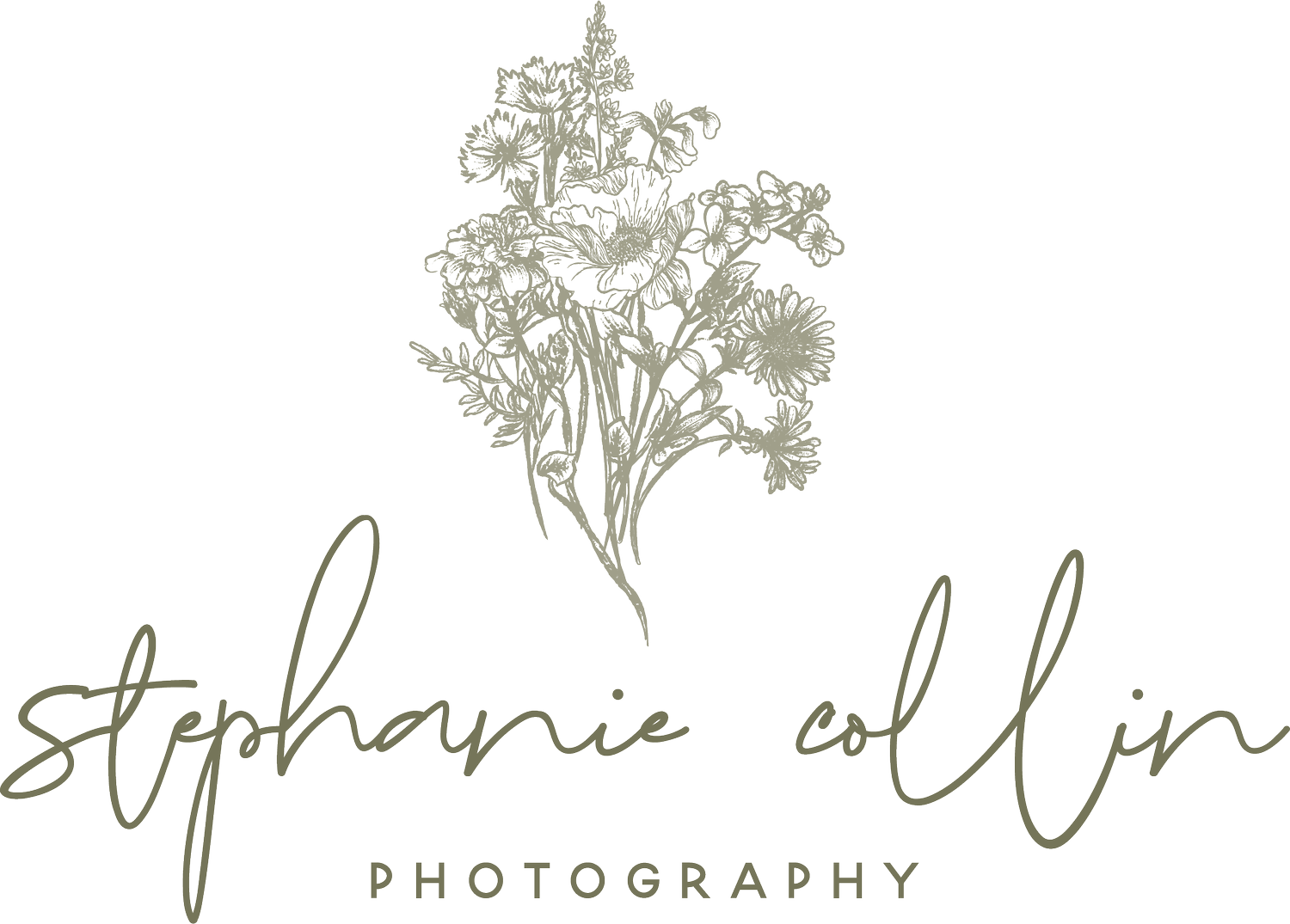 stephanie collin photography