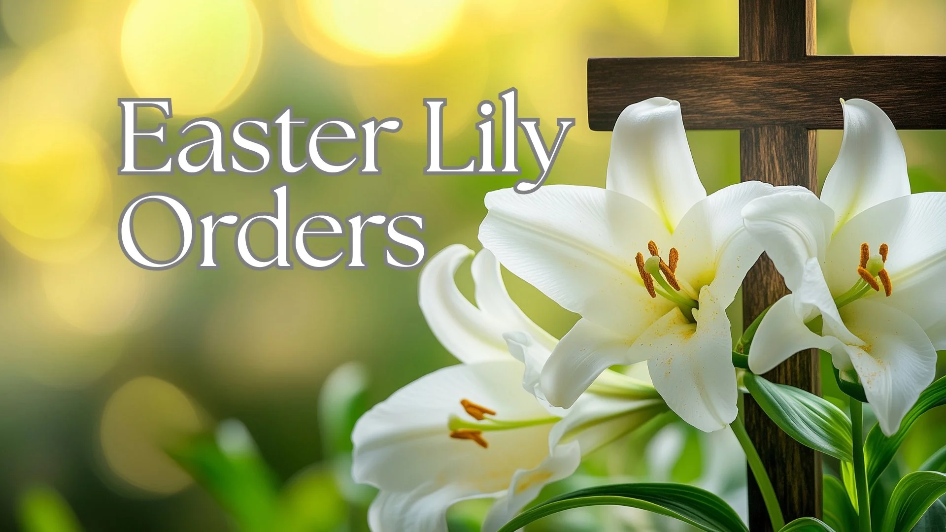 Easter Lily Orders