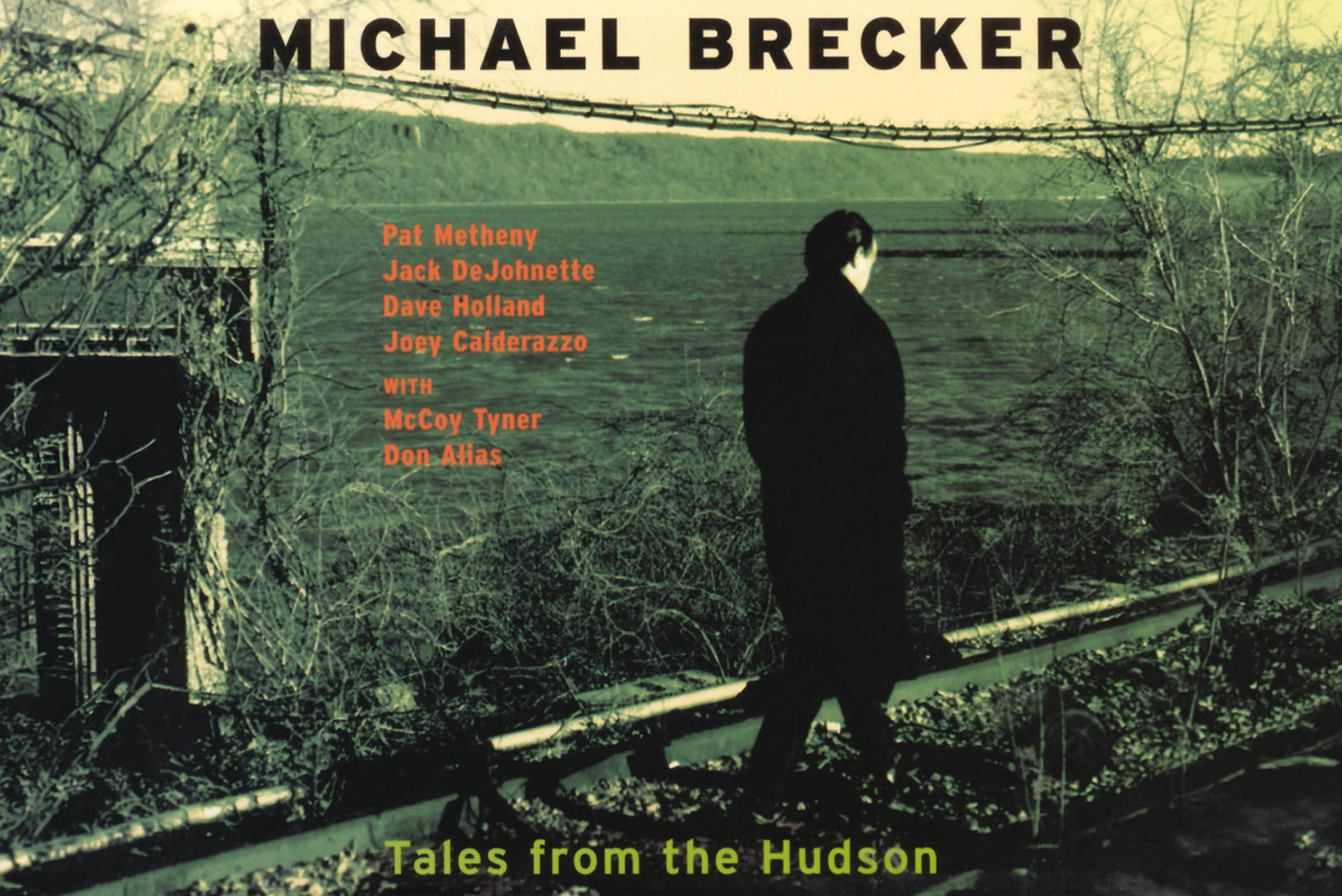 Midnight Voyage - Pat Metheny Solo Transcription, Analysis, and 4 Licks