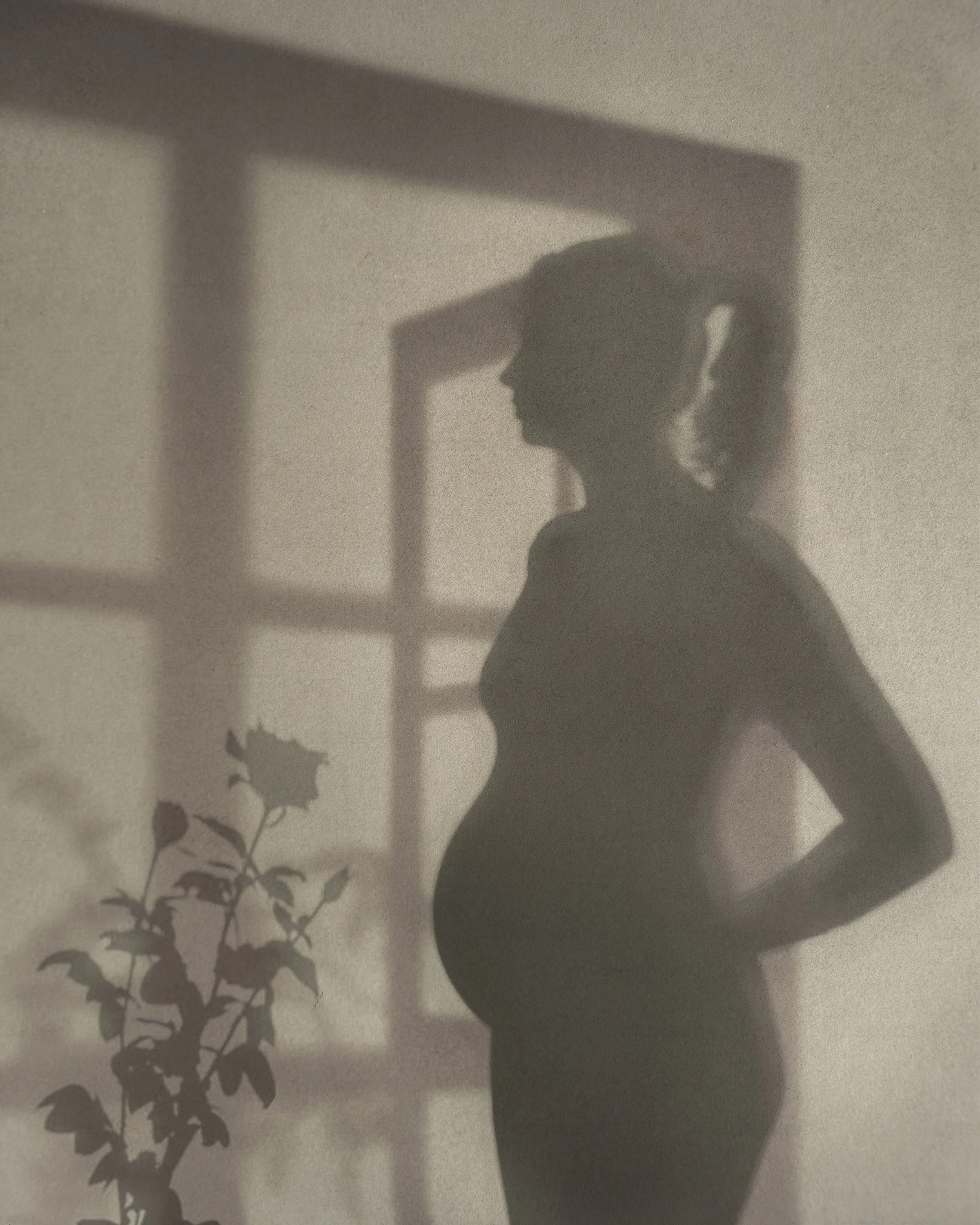 photo-maternité-paris