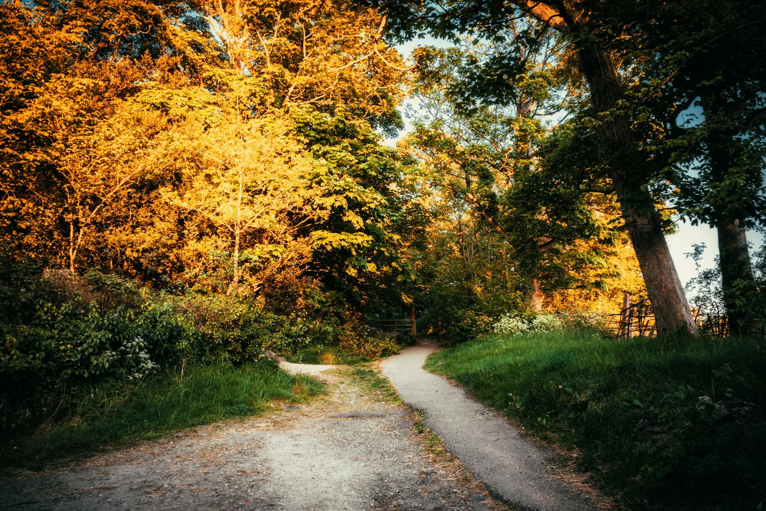 SPACE VS. FAMILY WELL-BEING CONSULTATION: WHAT'S THE DIFFERENCE?