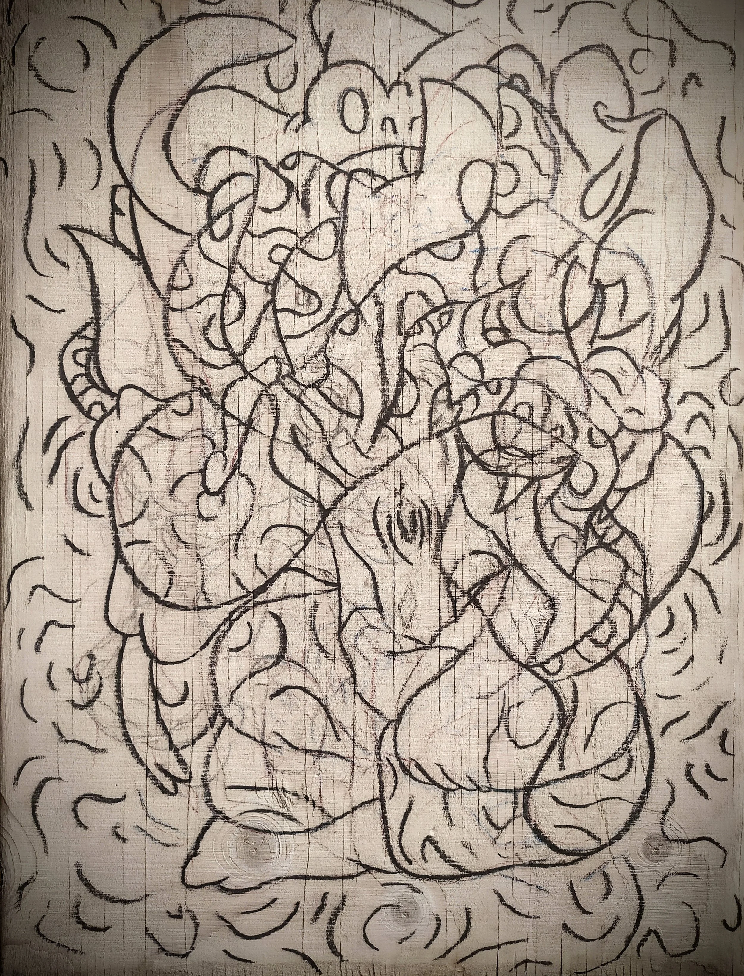 IMG_20210204_225130_2 (1).jpg