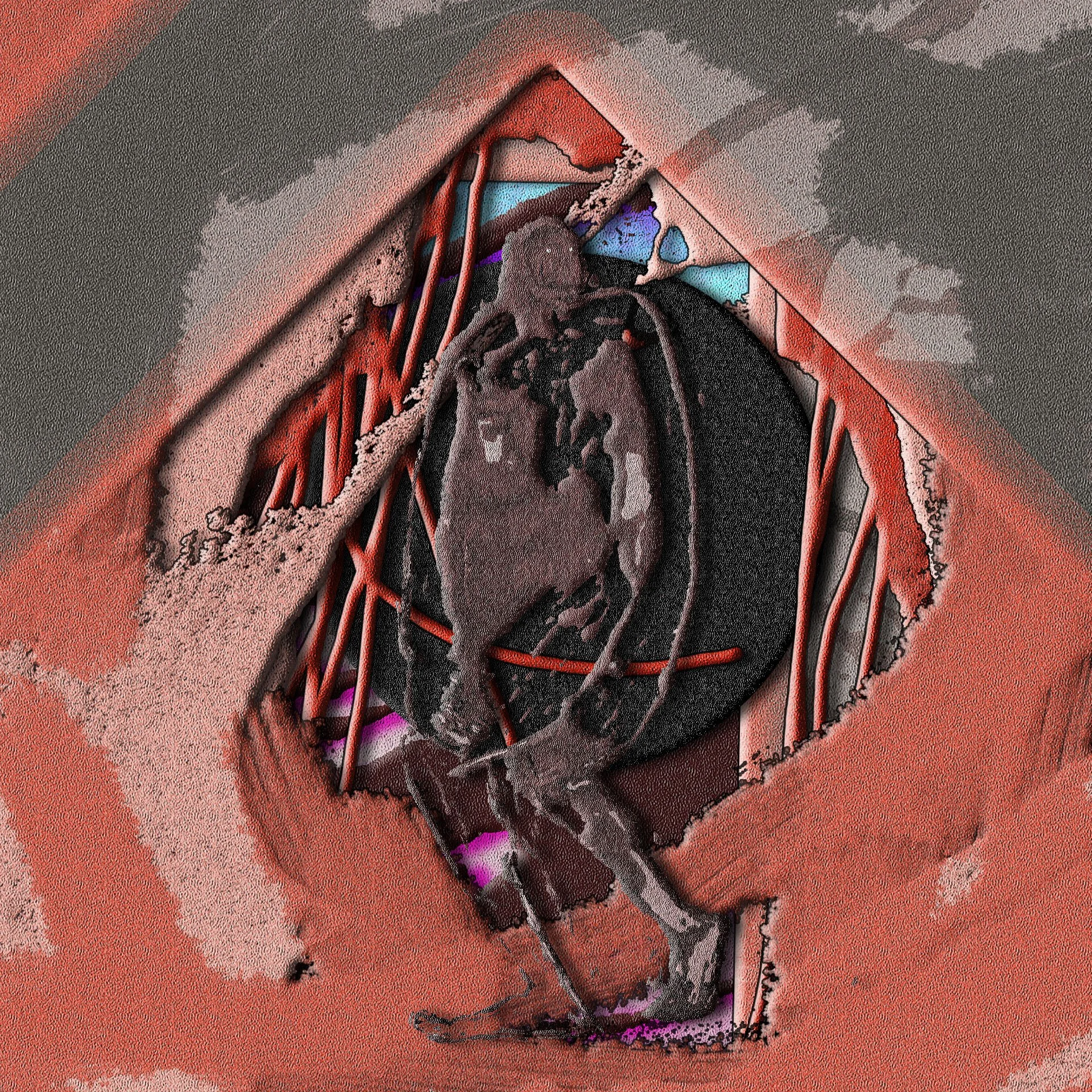 NINJA2.jpg