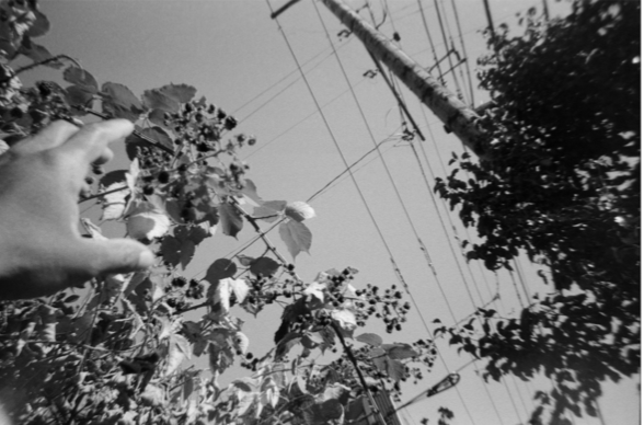 If We Could Talk Art Exhibit at The BLACK Gallery