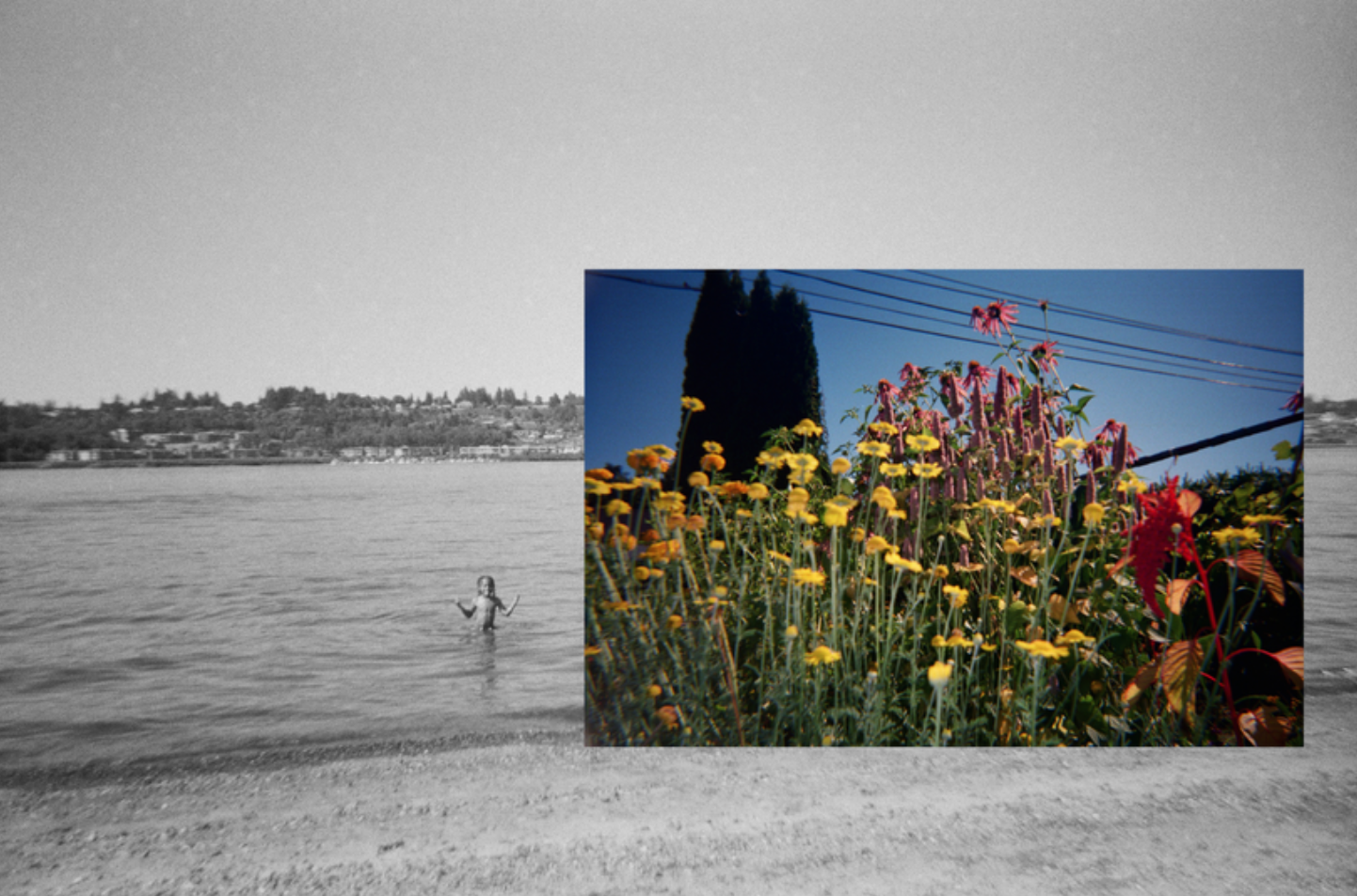 We Built You a Garden at The BLACK Gallery