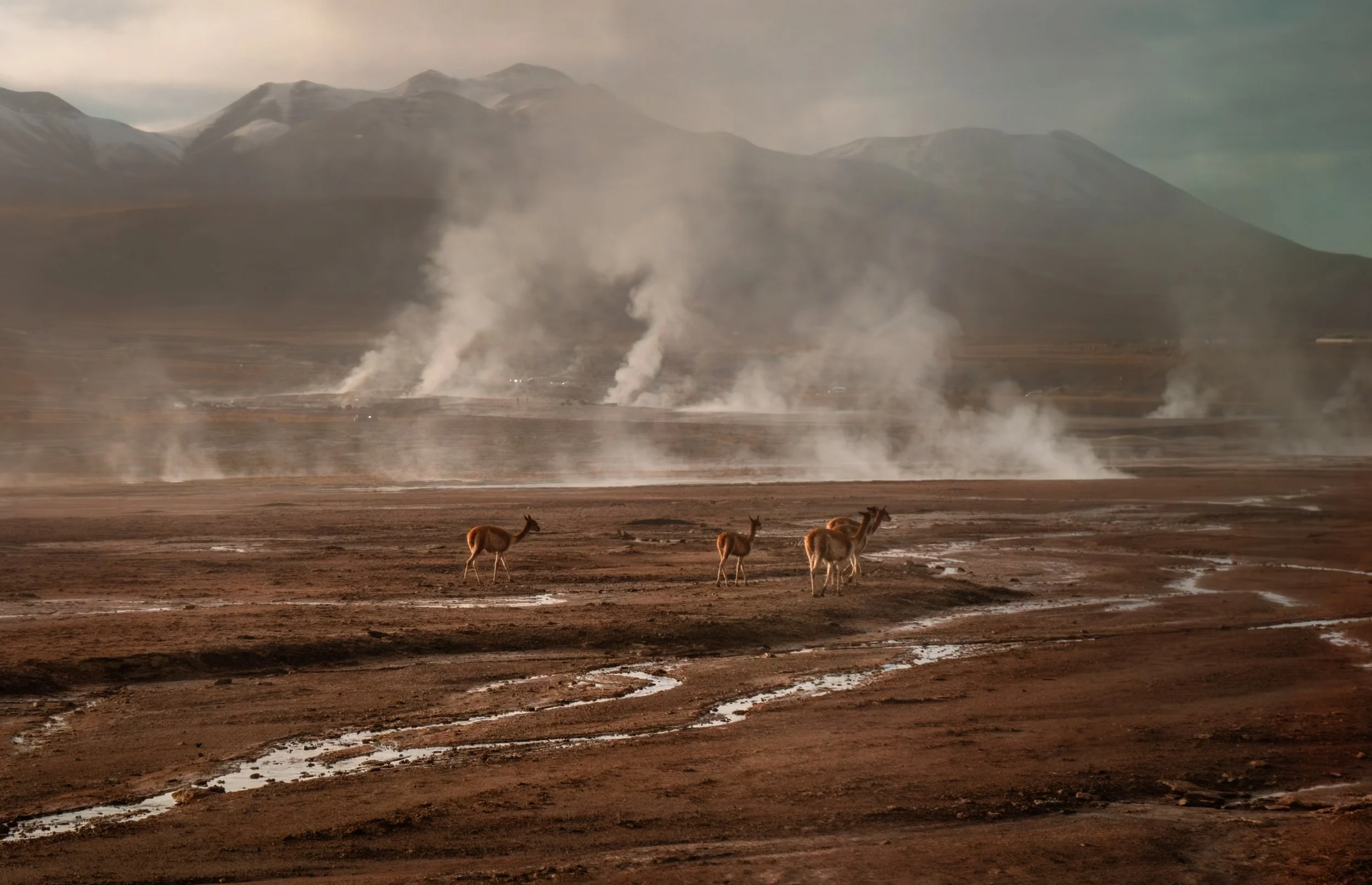 Chile_ByKatyaVeber-32.jpg