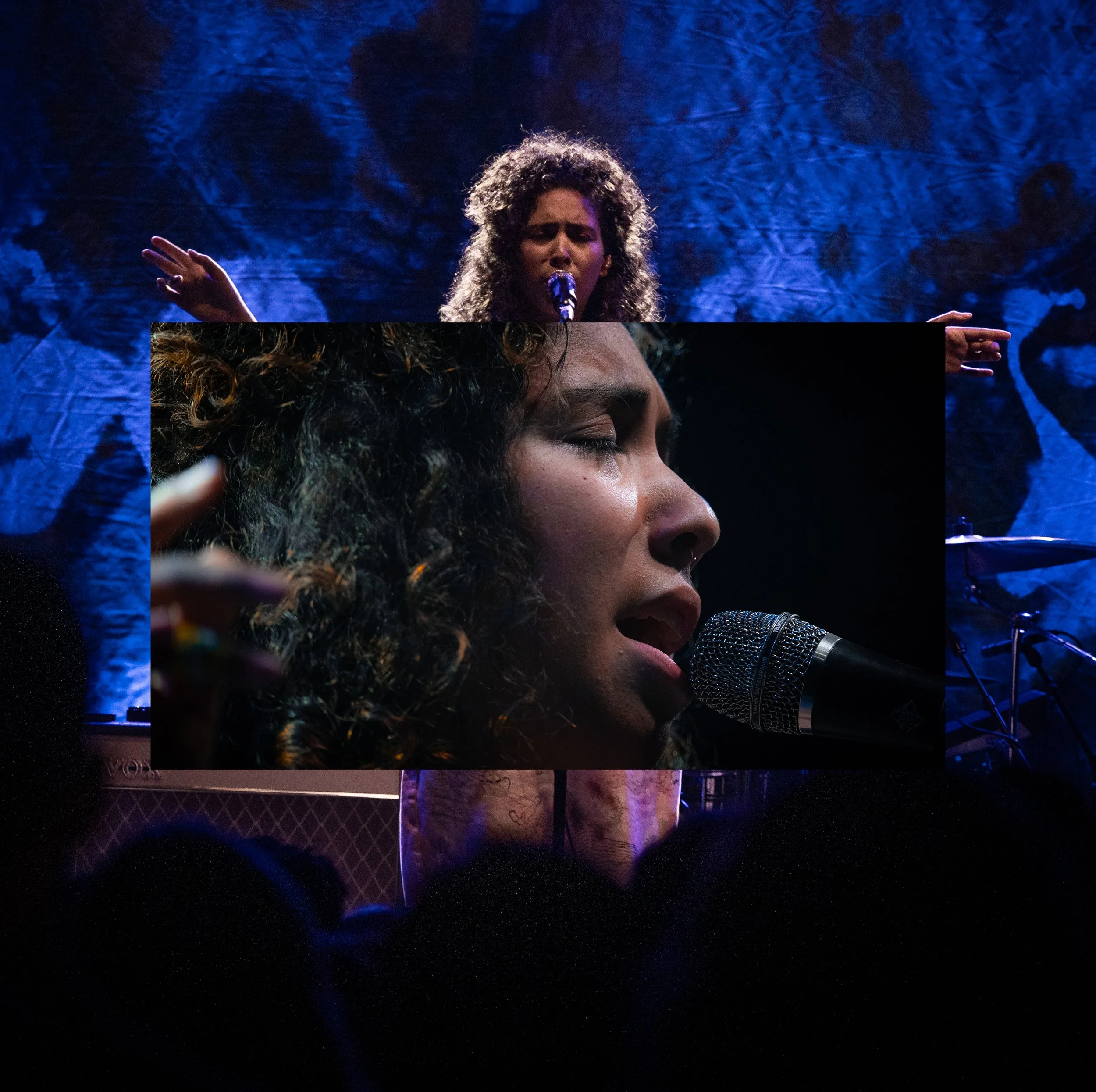 indigo7 копия.jpg