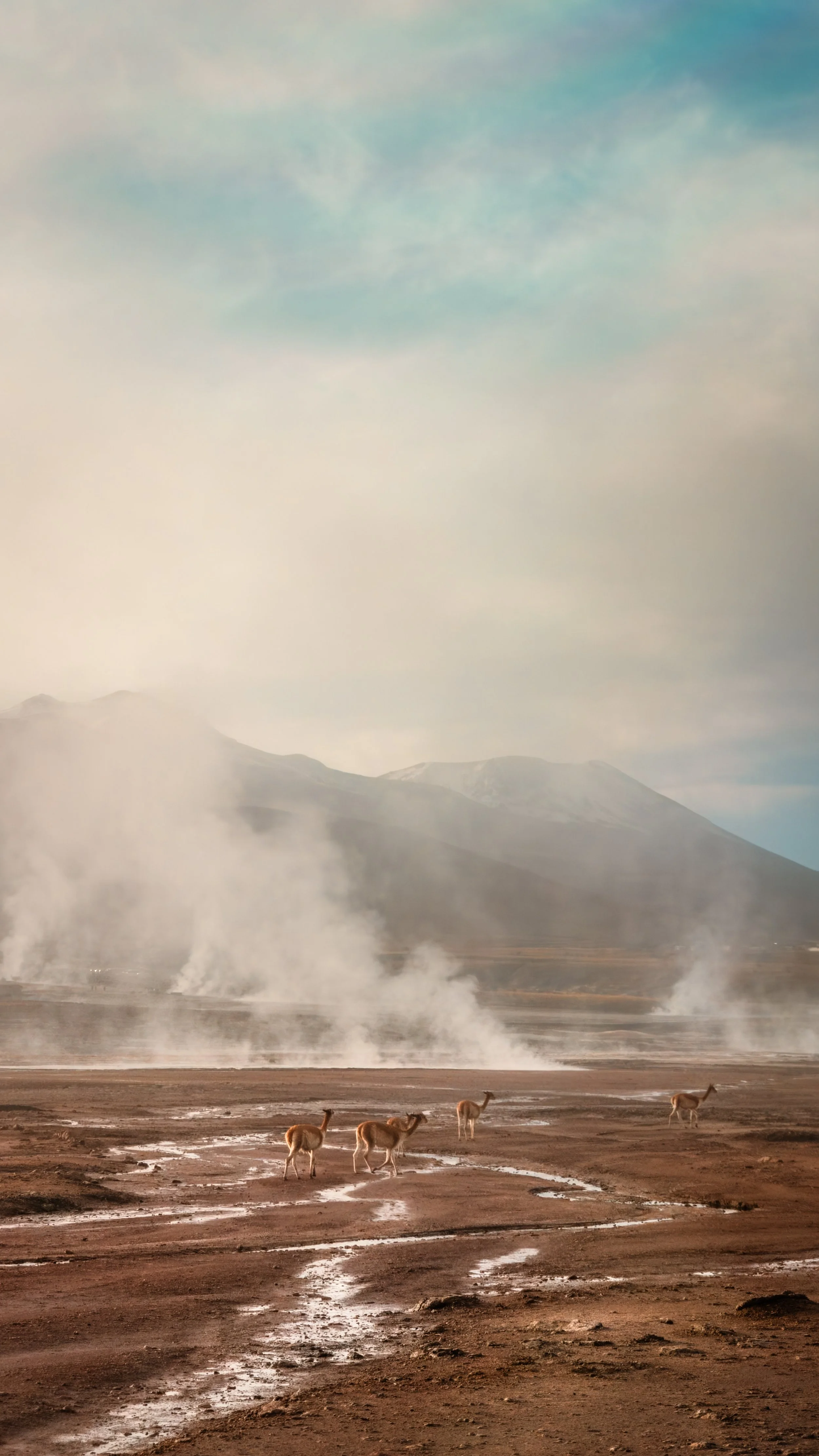 Chile_ByKatyaVeber-33.jpg