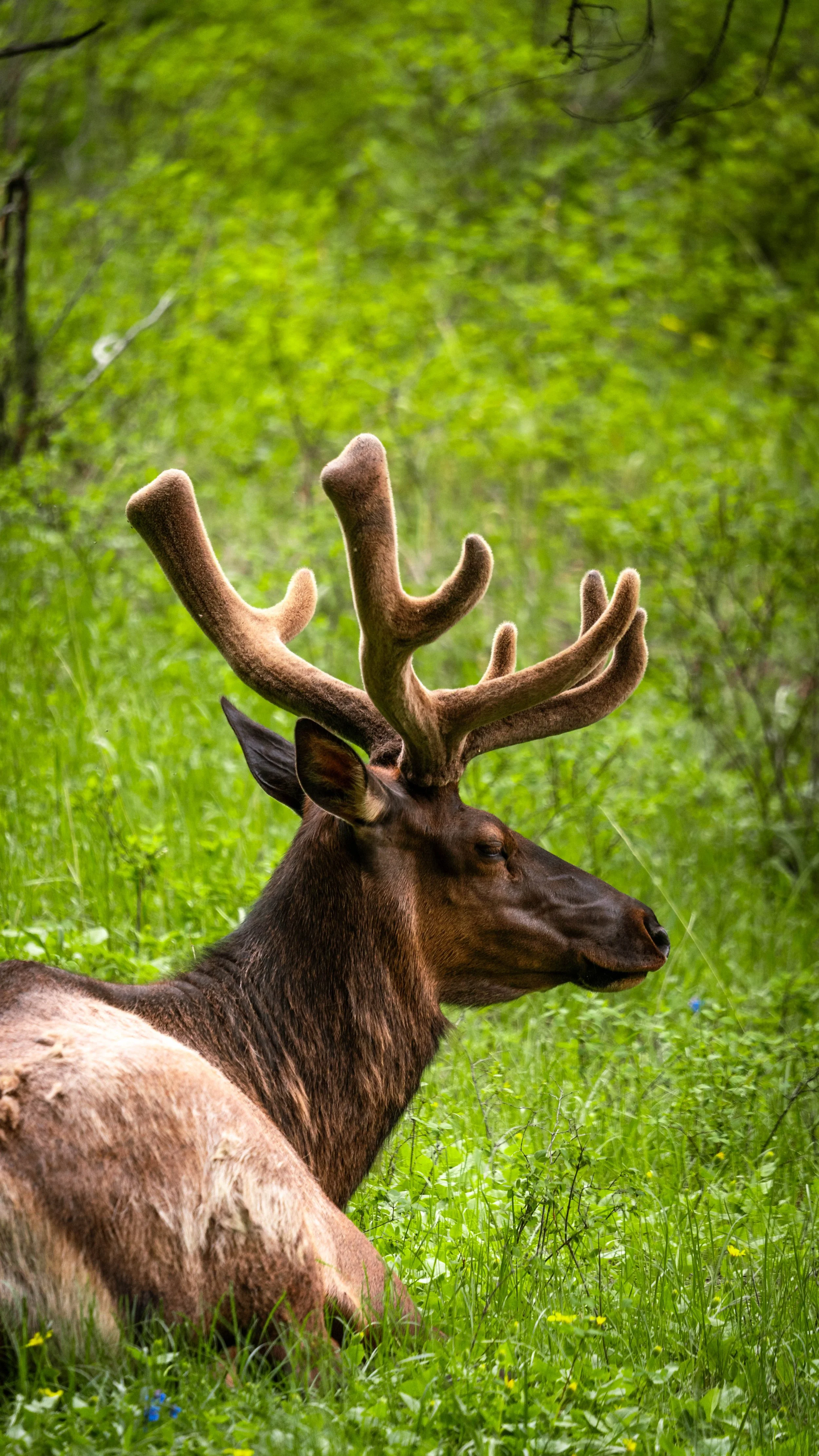 Yellowstone_ByKatyaVeber-0697.jpg