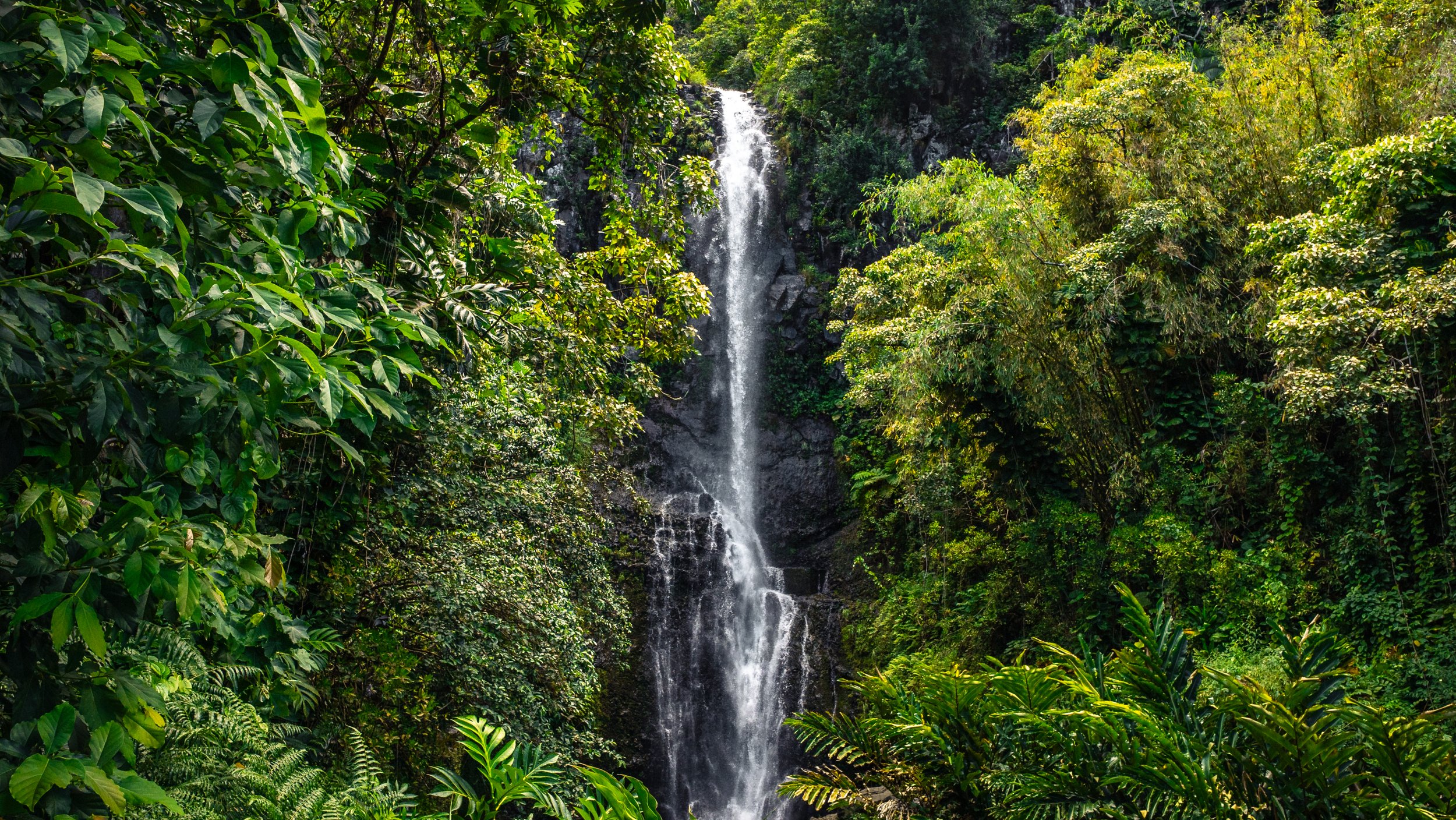 Hawaii_ByKatyaVeber-127.jpg