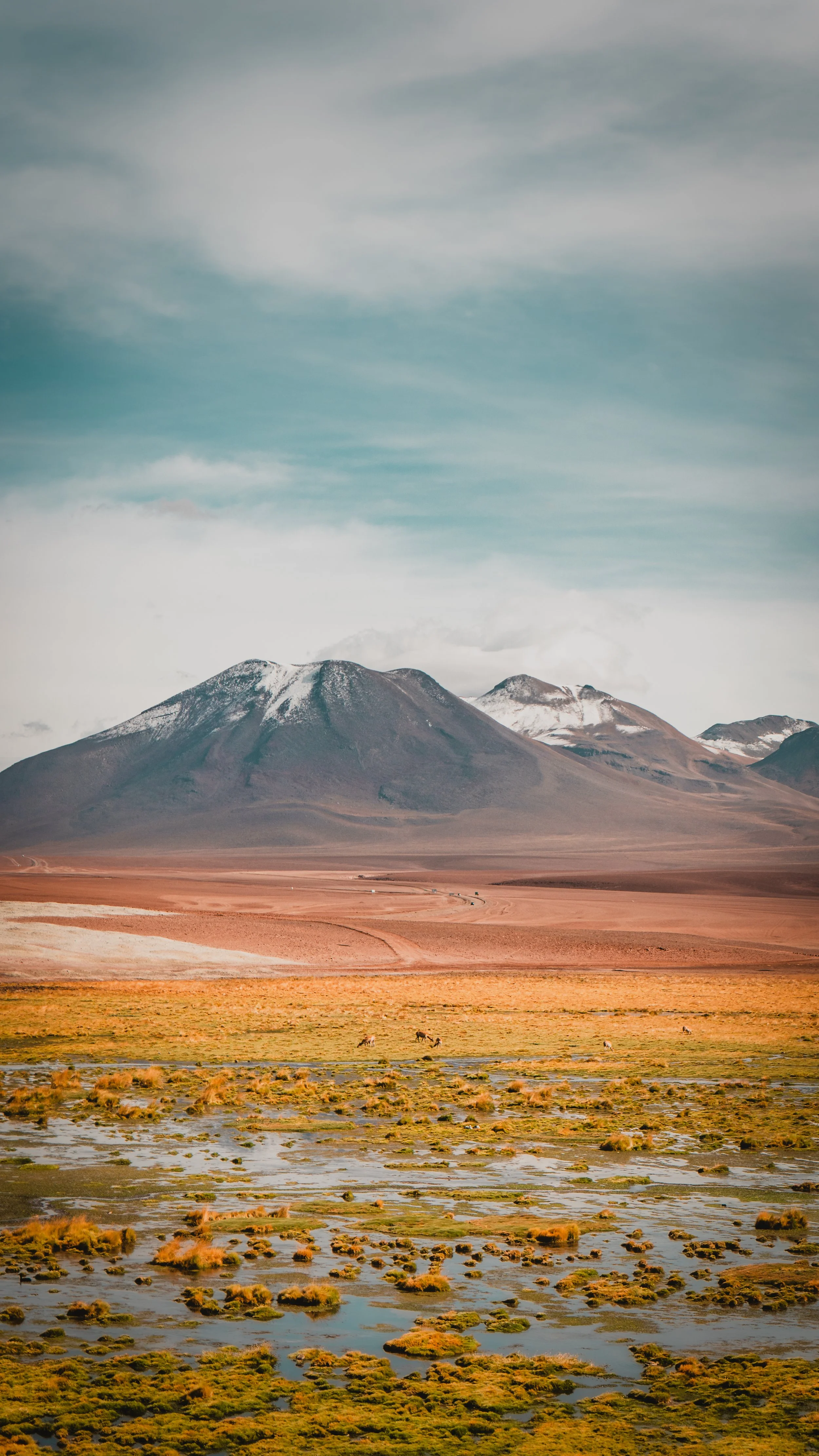 Chile_ByKatyaVeber-40.jpg