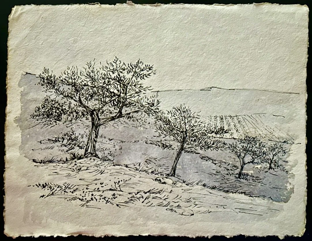 Drawing with Bamboo Reed Pens