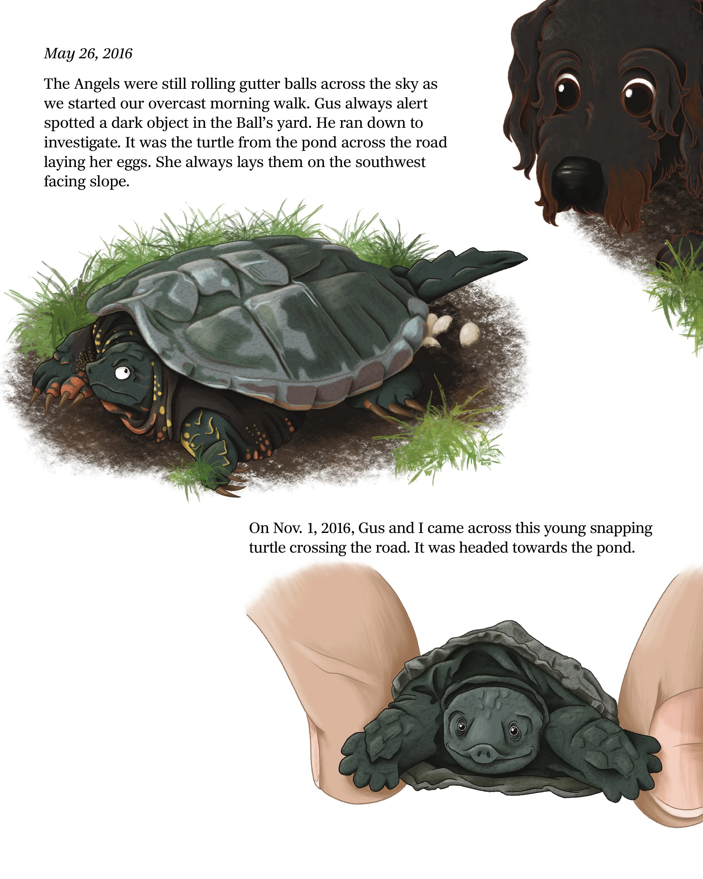 GT2 Page 22 COLOR 12-08-24.jpg