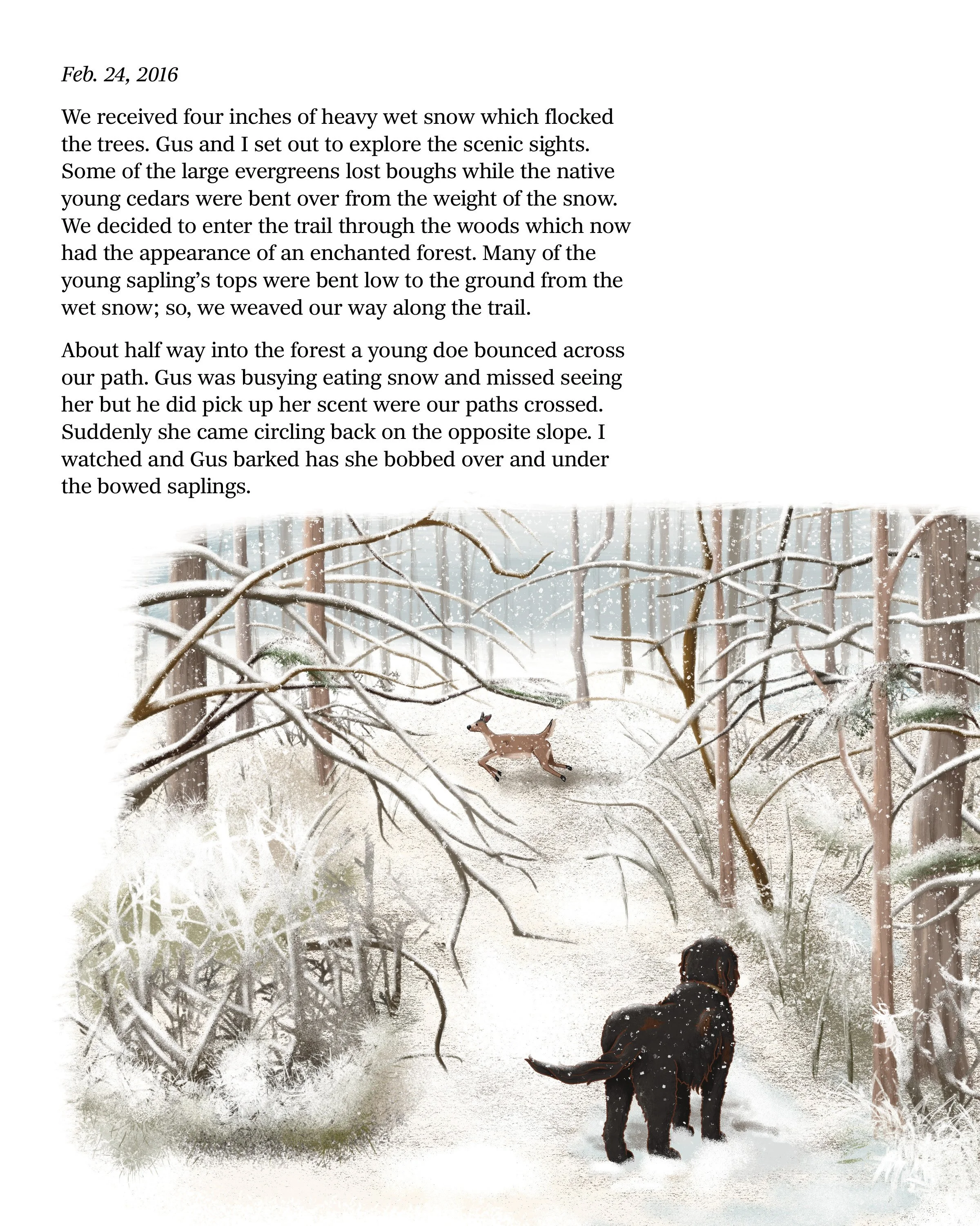 GT2 Page 19 COLOR 11-19-24.jpg