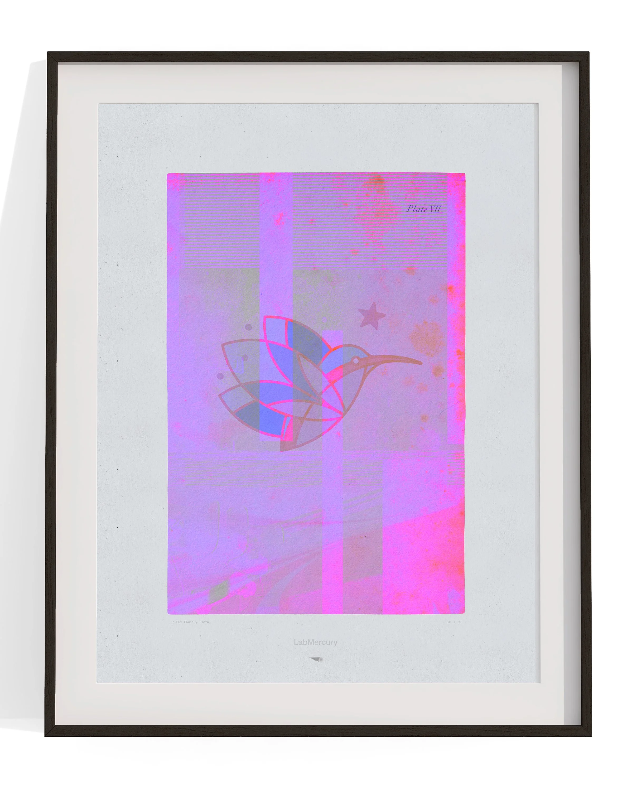 LM001-FAUNA Y FLORA D store2.jpg