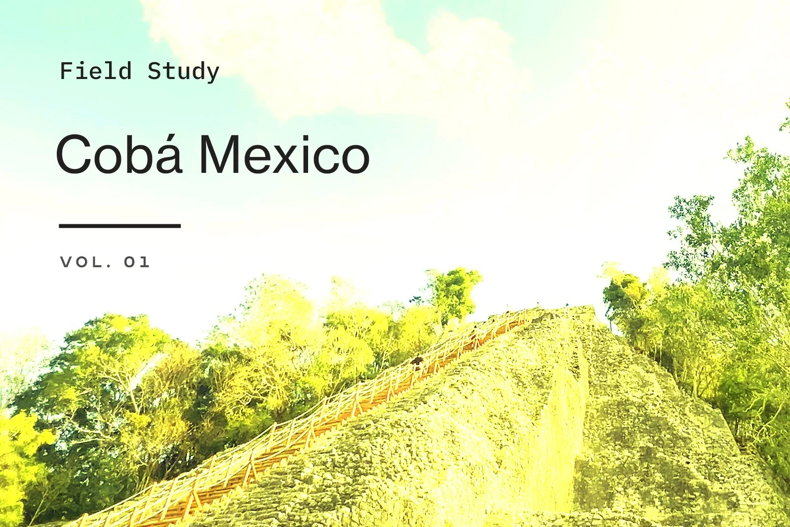 Field Study: Coba, MX