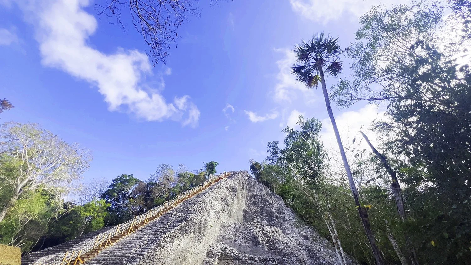 Cobá-05.jpg