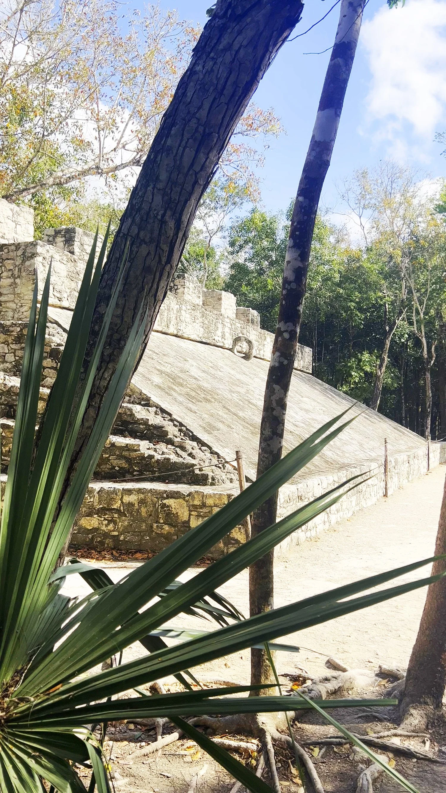 Maya archaeological structure surrounded by tropical forest at Cobá, Mexico.