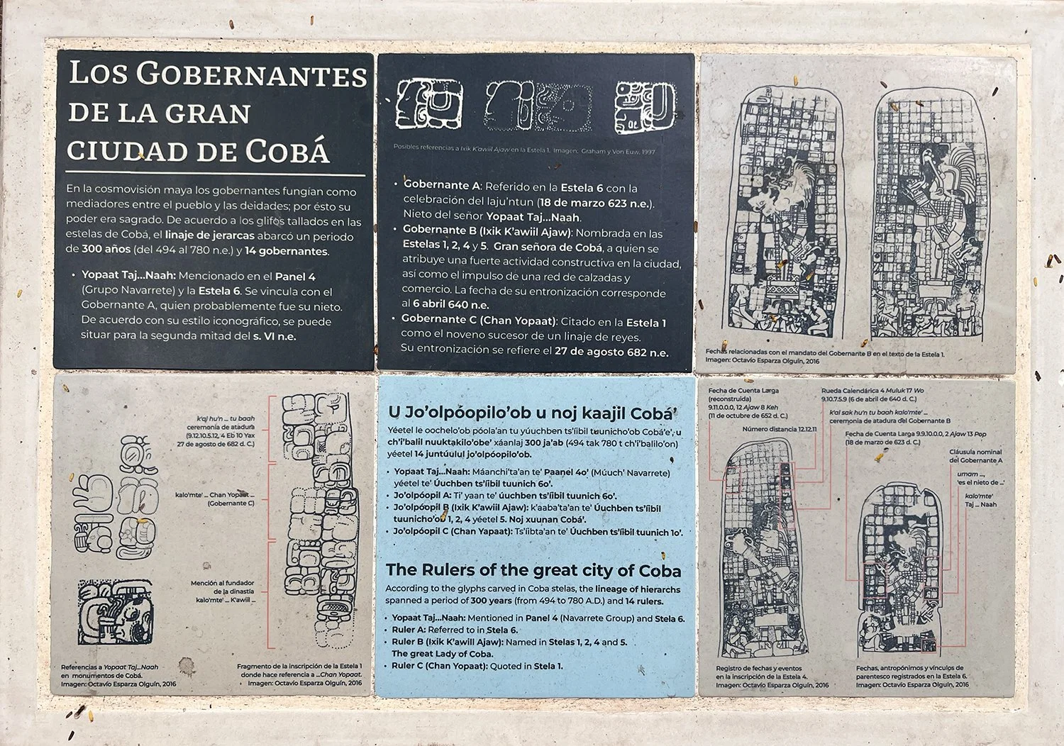 Cobá-14.jpg
