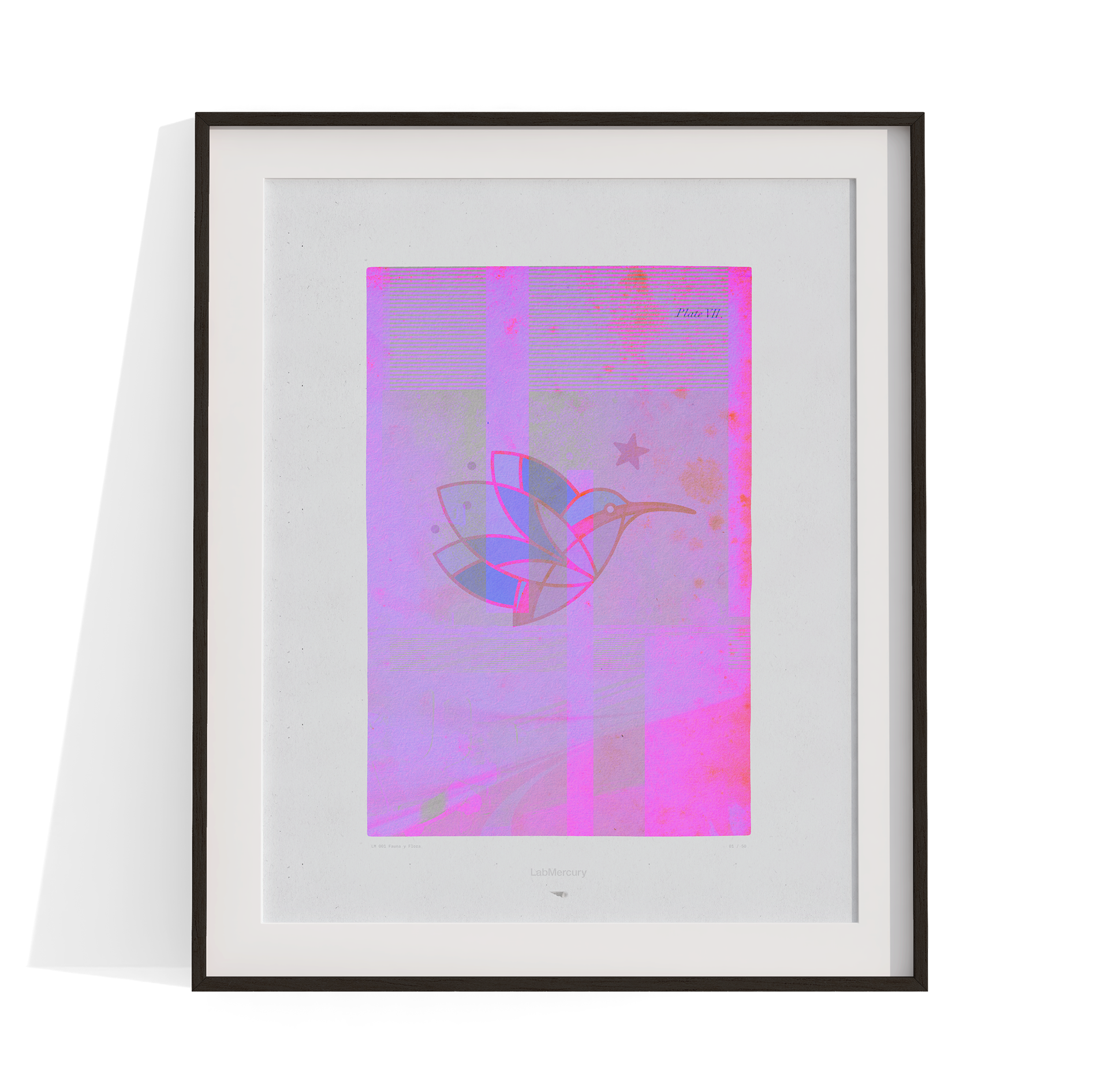 LM001-FAUNA Y FLORA LimitedEdition 2.png