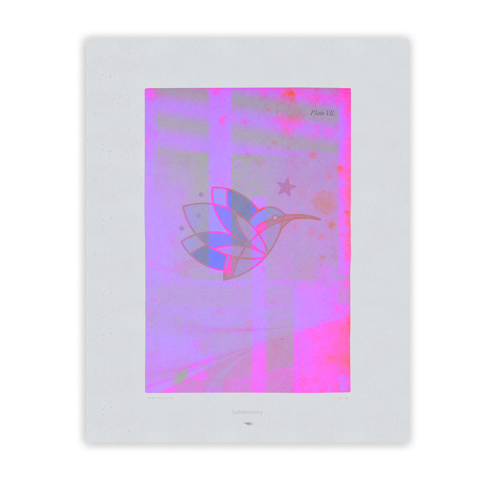 LM001-FAUNA Y FLORA LimitedEdition 1.png