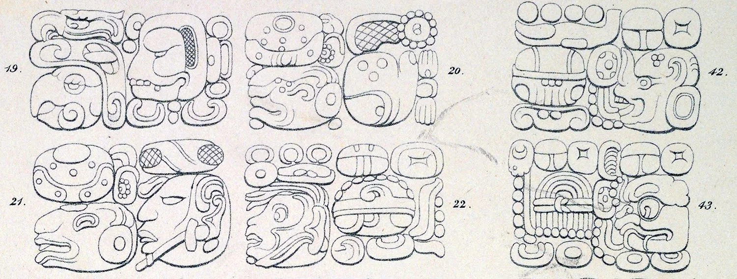 Detail of carved symbols on a Maya stela at the Cobá archaeological