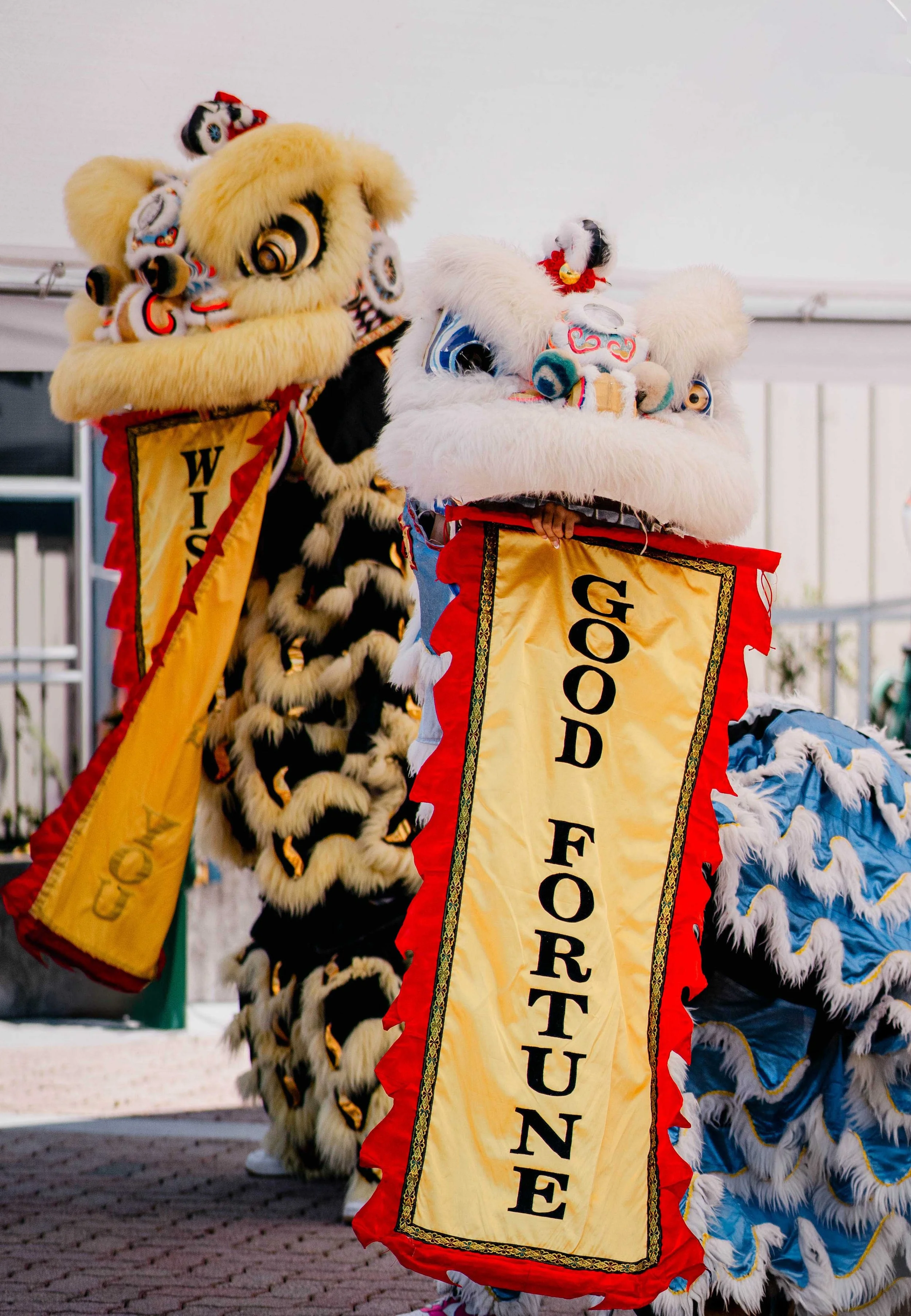 Photographing the Tiburon AAPI Heritage Festival in Marin County