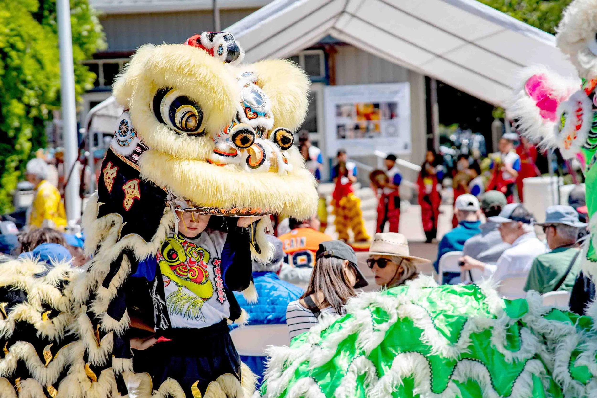 Lion Dancer in Tiburon peeking out from his costume in Tiburon CA, AAPI Festival 2026