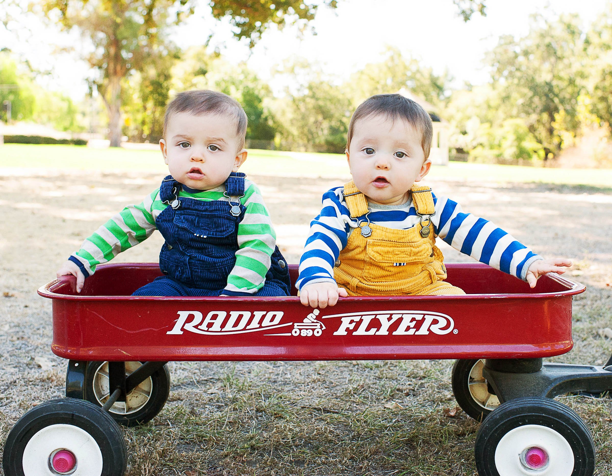 Two babies sitting in a red Radio Flyer wagon outdoors.