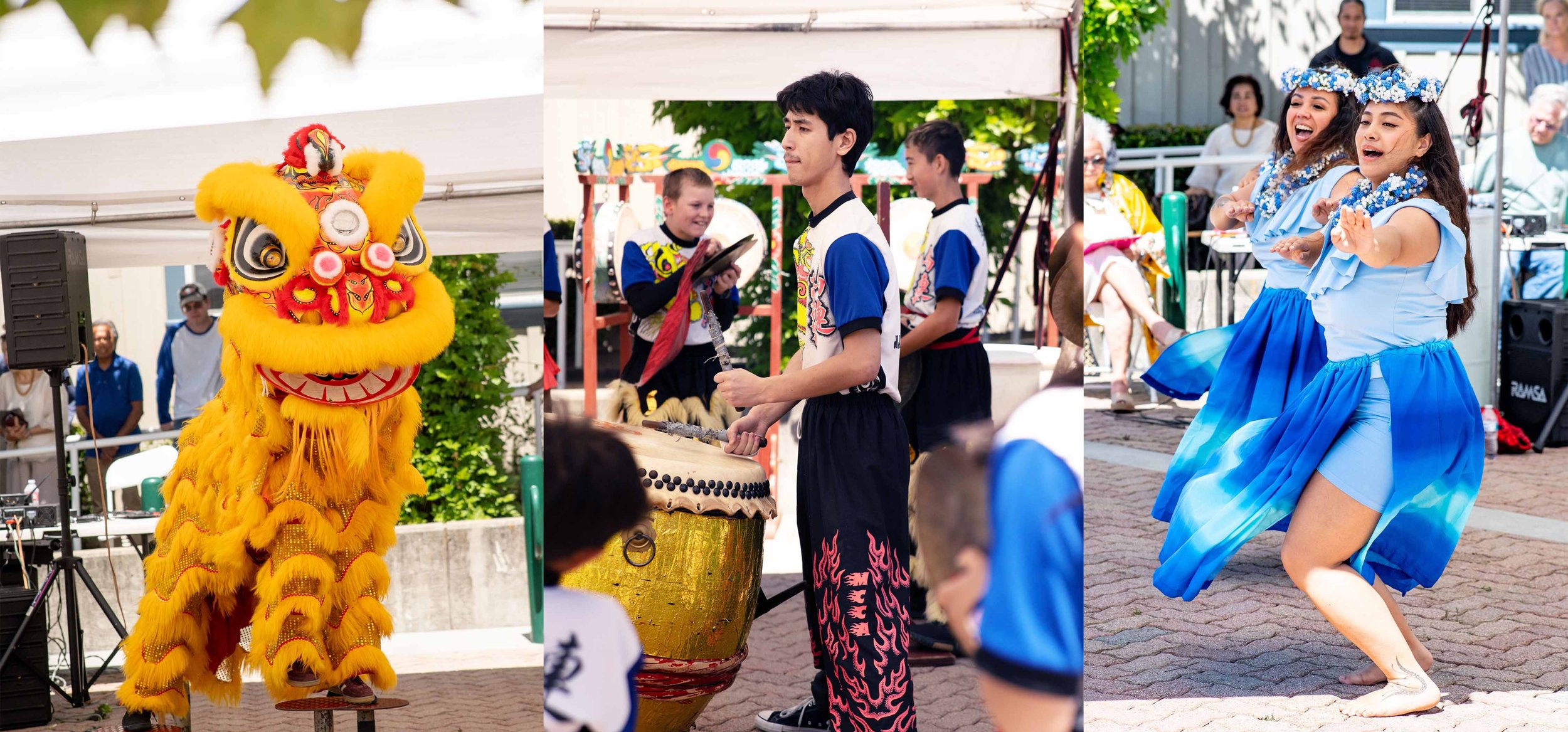 Lion dancer, drummer and hula dancers at the AAPI festival in Tiburon 2026